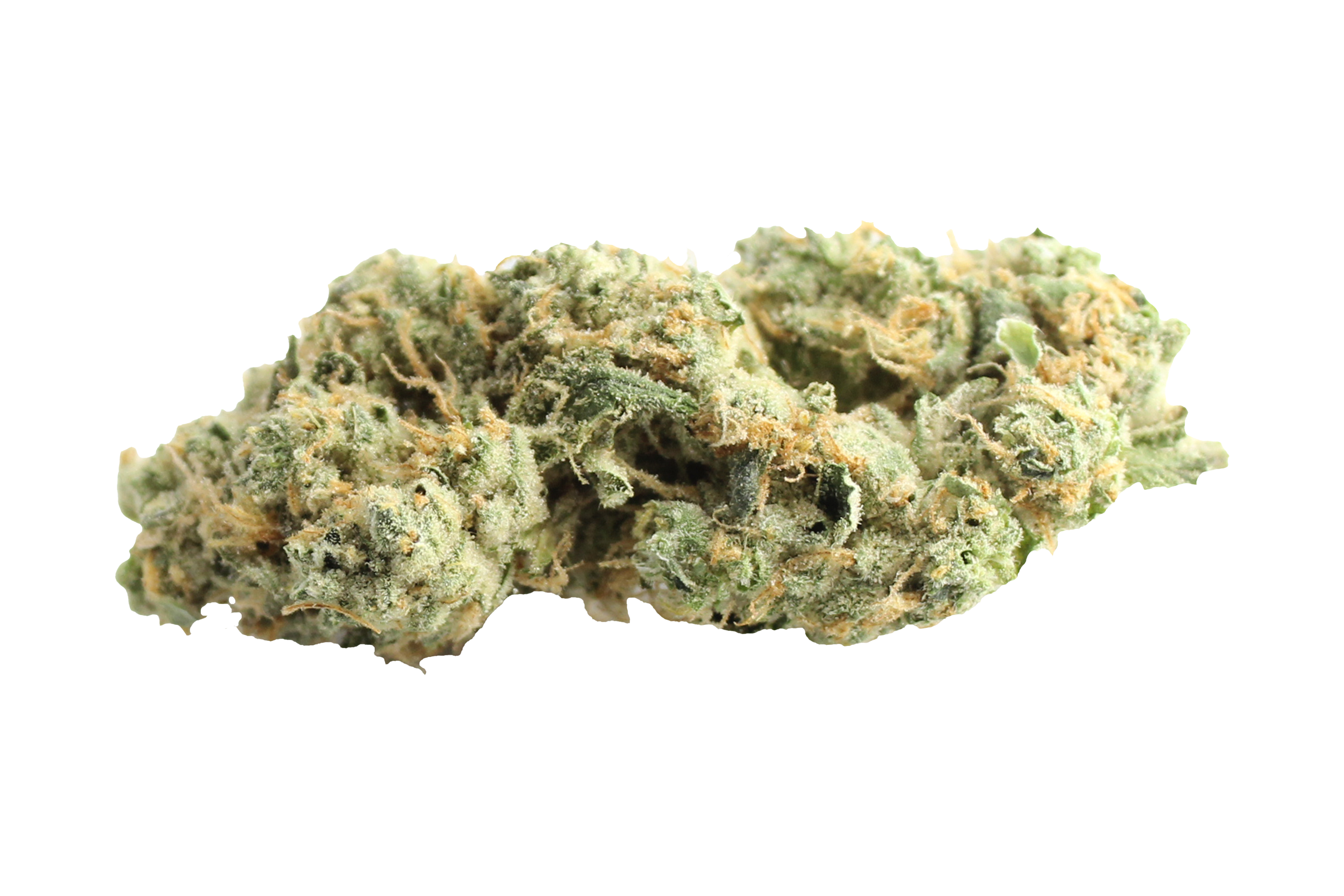 Four20Pharma 420 Evolution 27/1 CA GMO Cannabisbluete