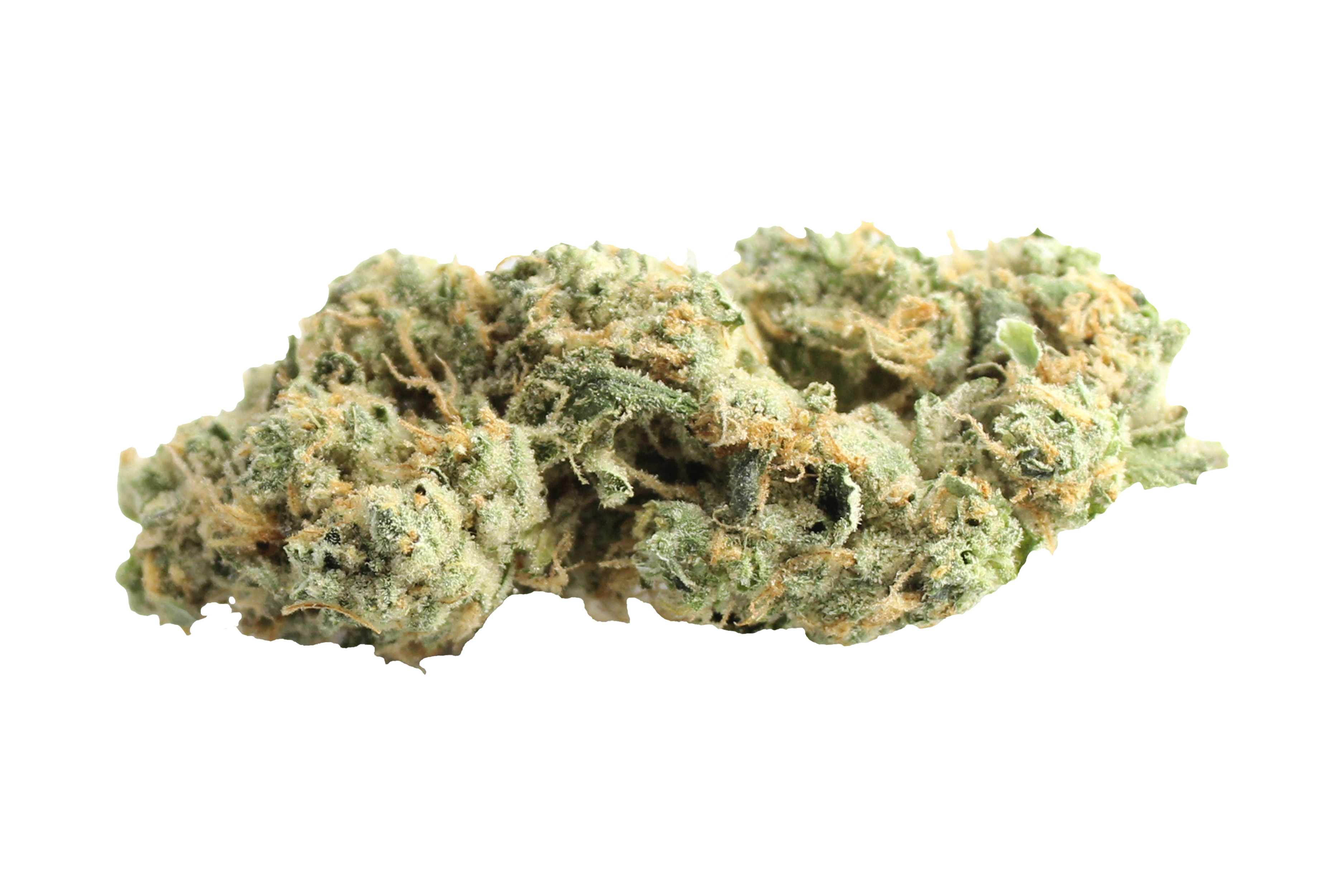 Four20Pharma 420 Evolution 27/1 CA GMO Cannabisbluete