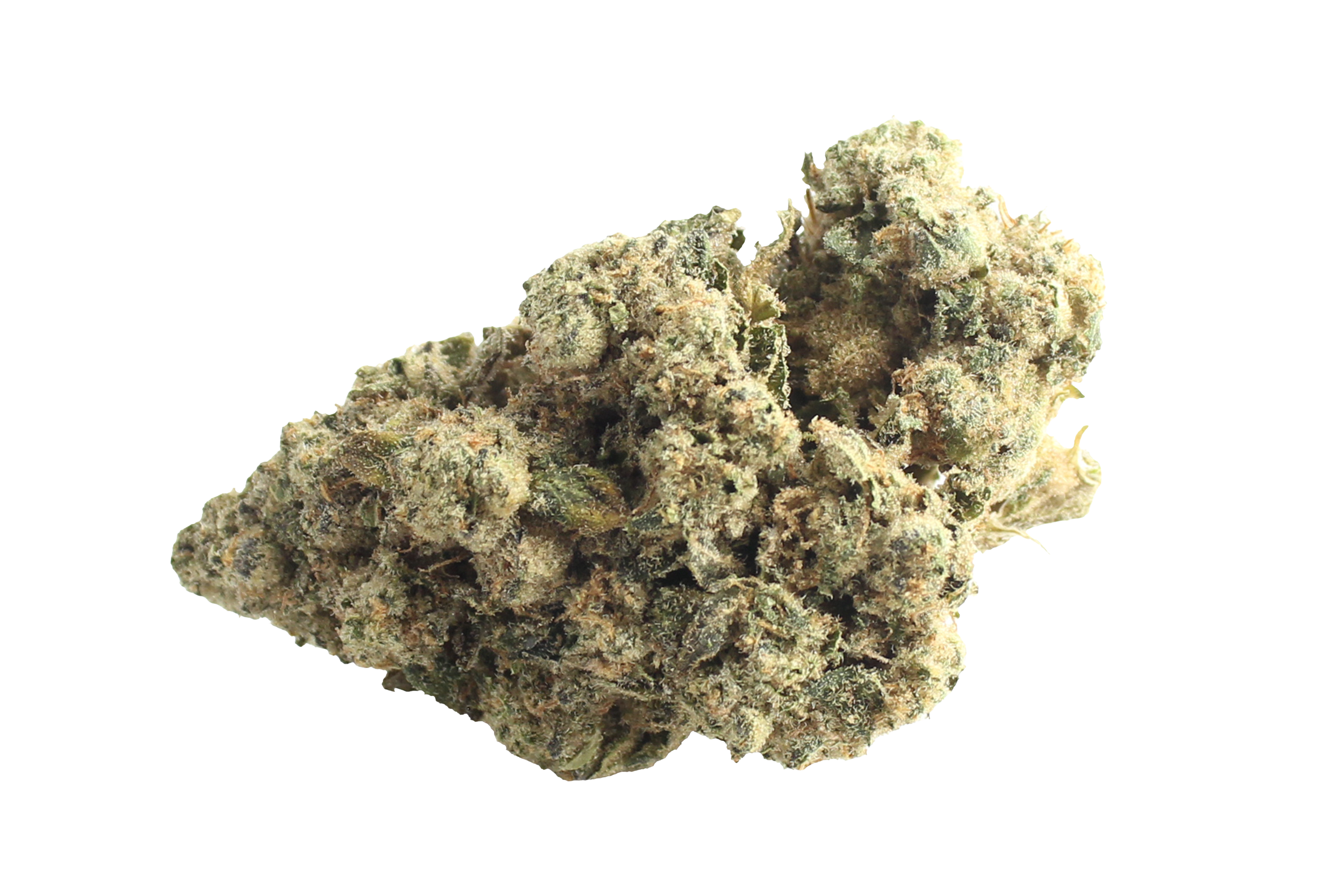 Aurora Pedanios 29/1 SRD-CA Sourdough Cannabisbluete