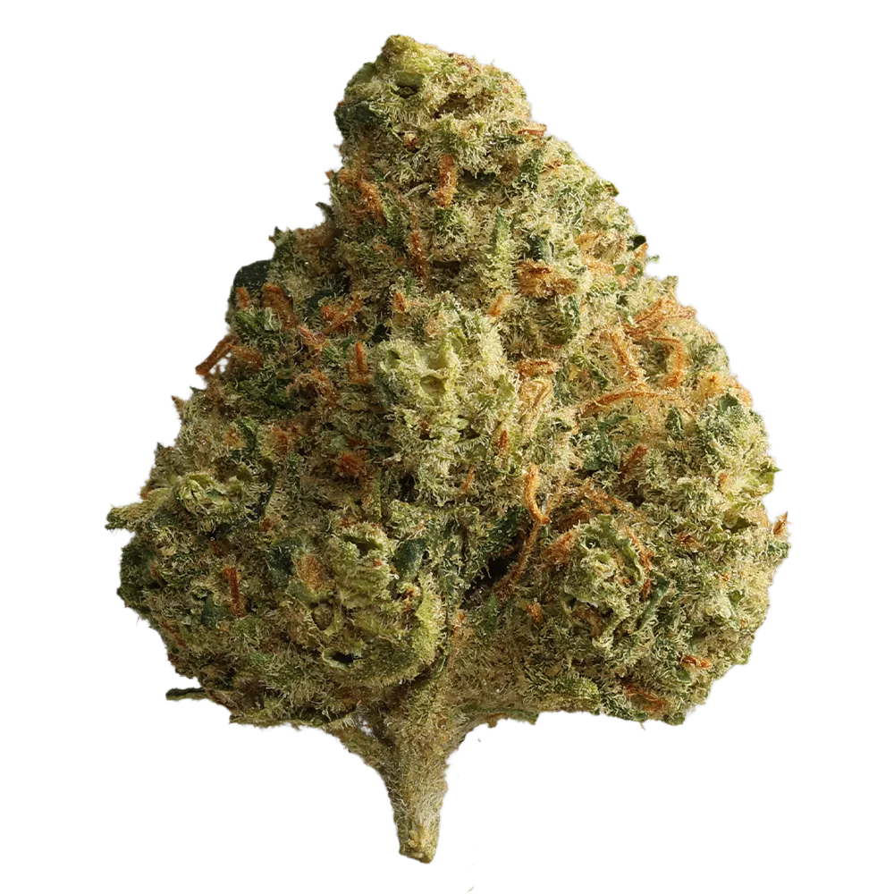 Cannabis flos 26-1 CSF Ku. Carnez Citric