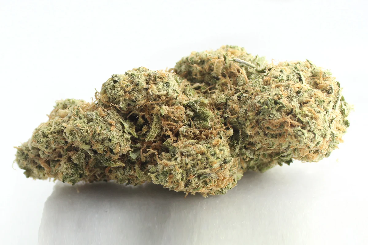 Cannamedical Sativa Forte NM Gelato Dream