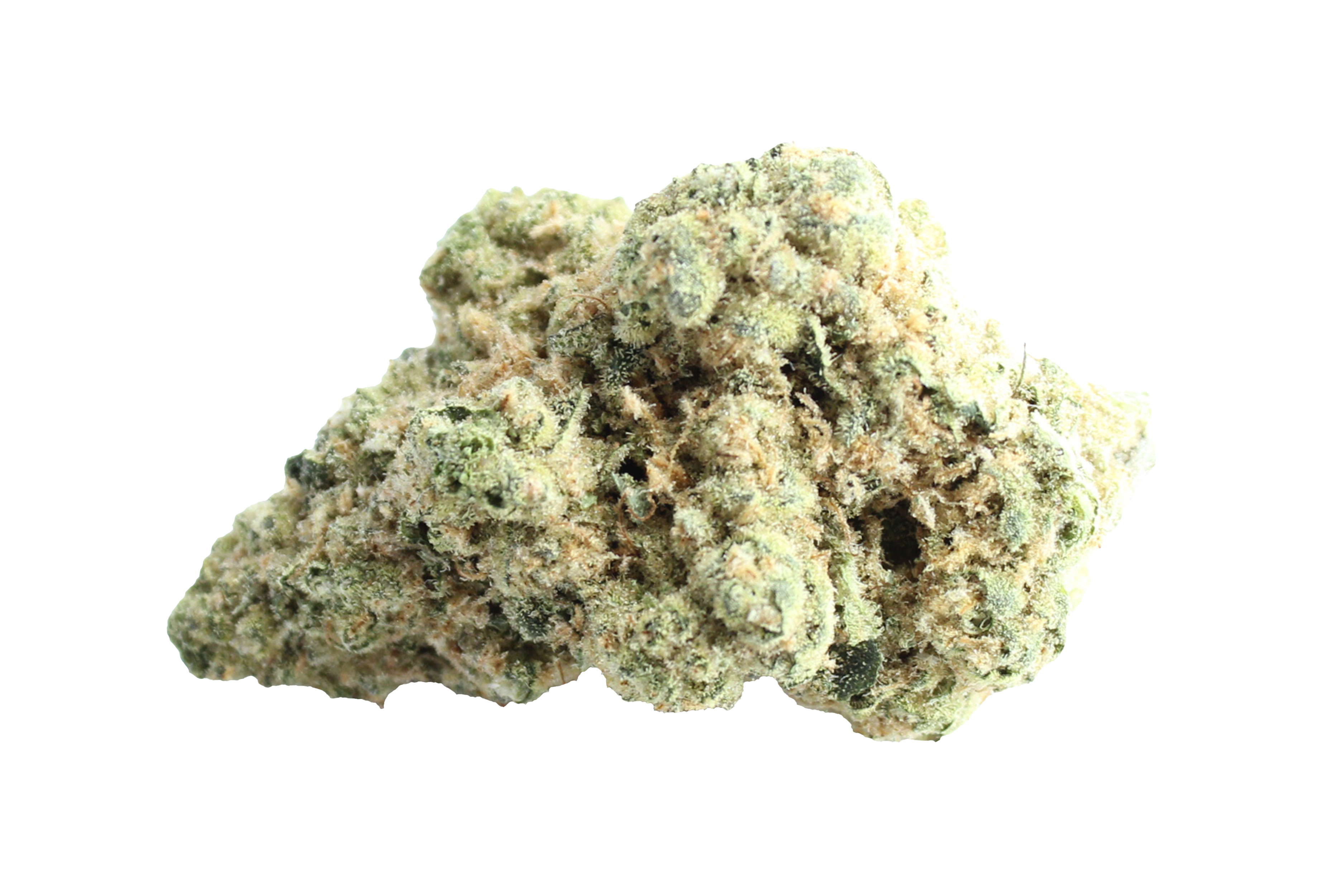 Pedanios 31/1 COS-CA Cosmic Cream Cannabisbluete
