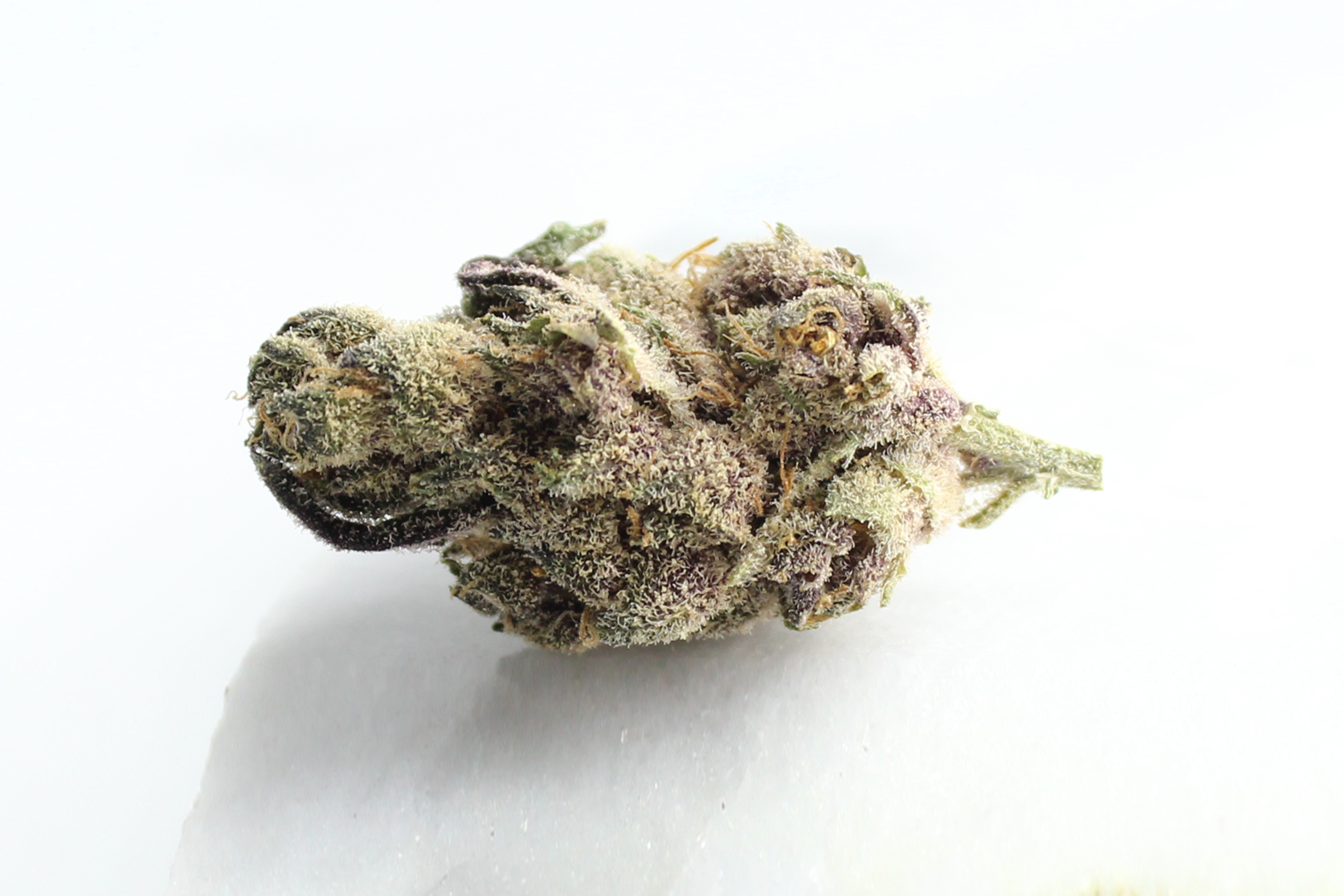 420 Natural 19/1 CA TRP: Tropicana Cookies