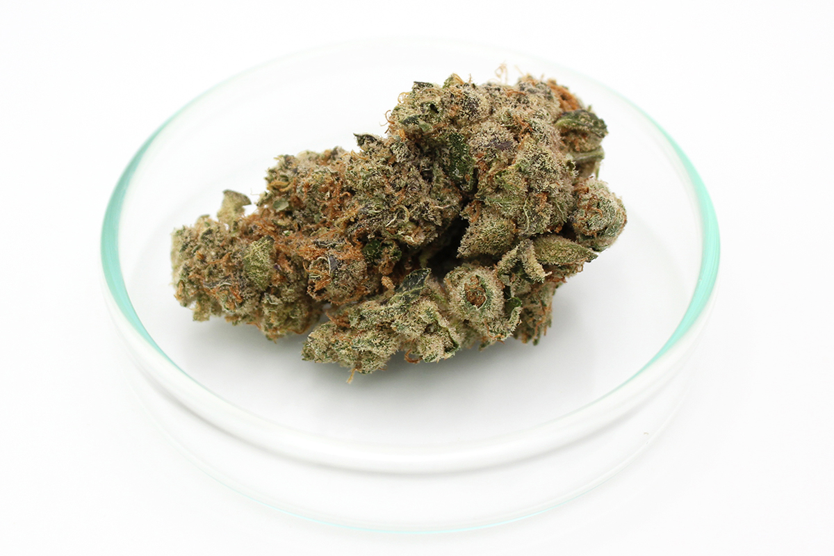enua 27/1 GMO CA: Koko´s Cookies
