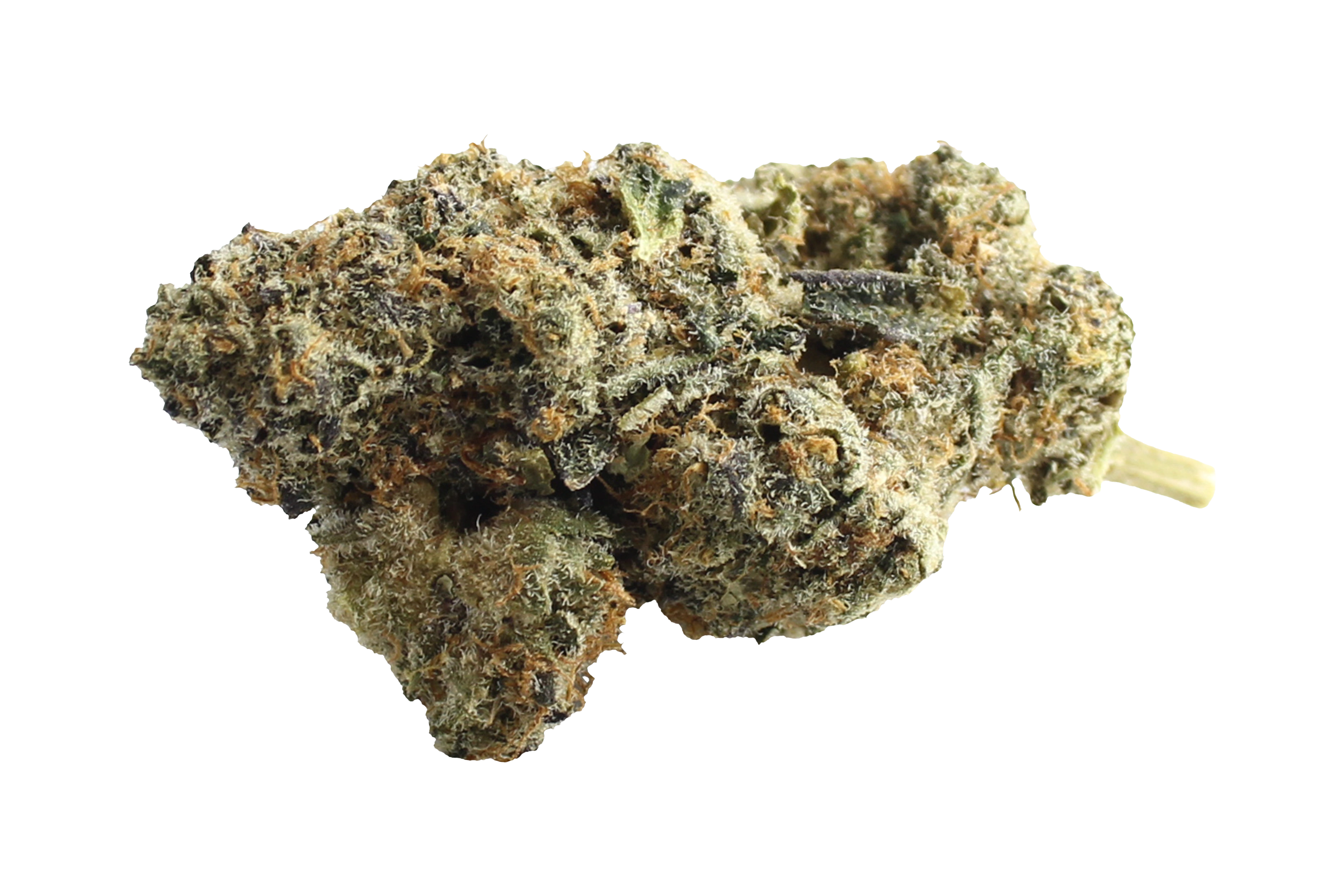 Four20Pharma 420 Evolution 25/1 CA WES Wedding Singer Cannabisbluete