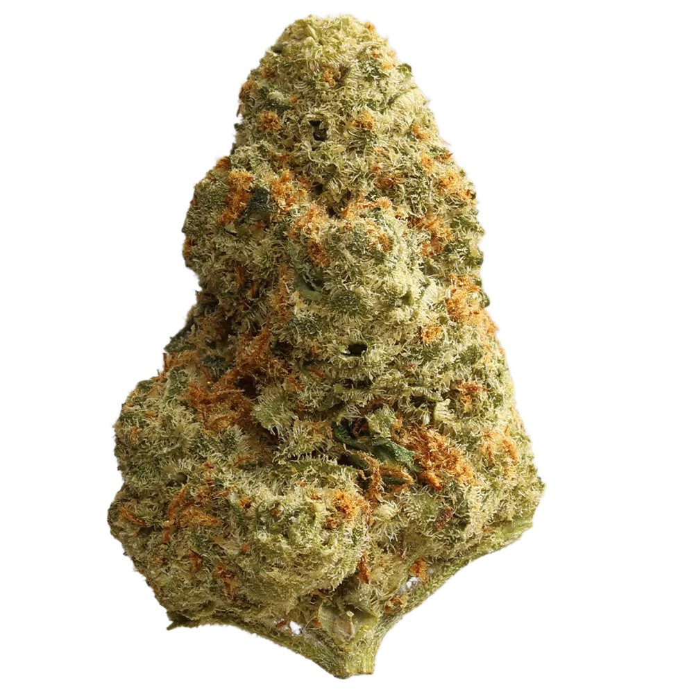 Huala 27/1 UK SEK Spiced Earth Kush