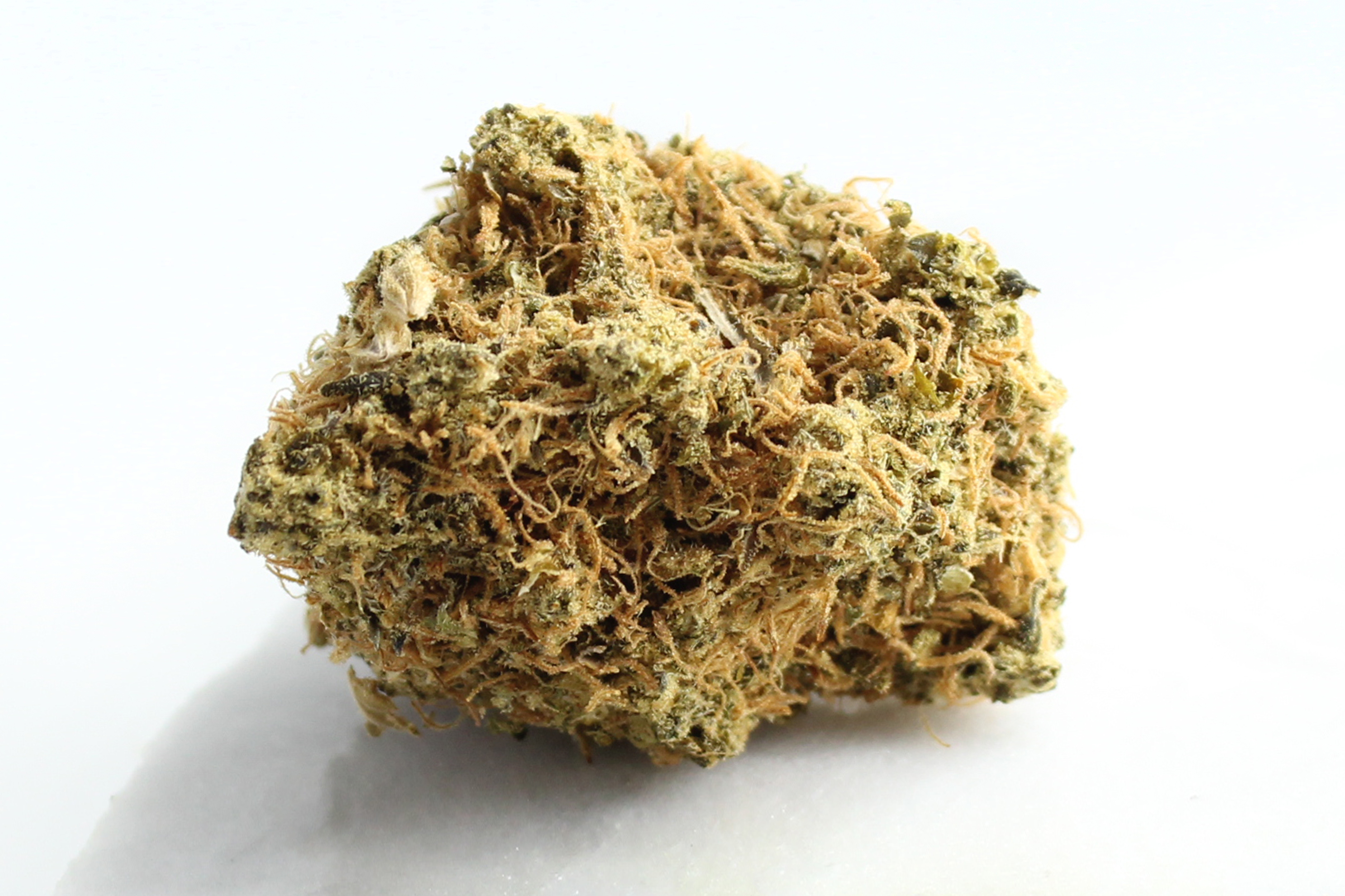 Avaay 24/1 SK: Sour OG Kush