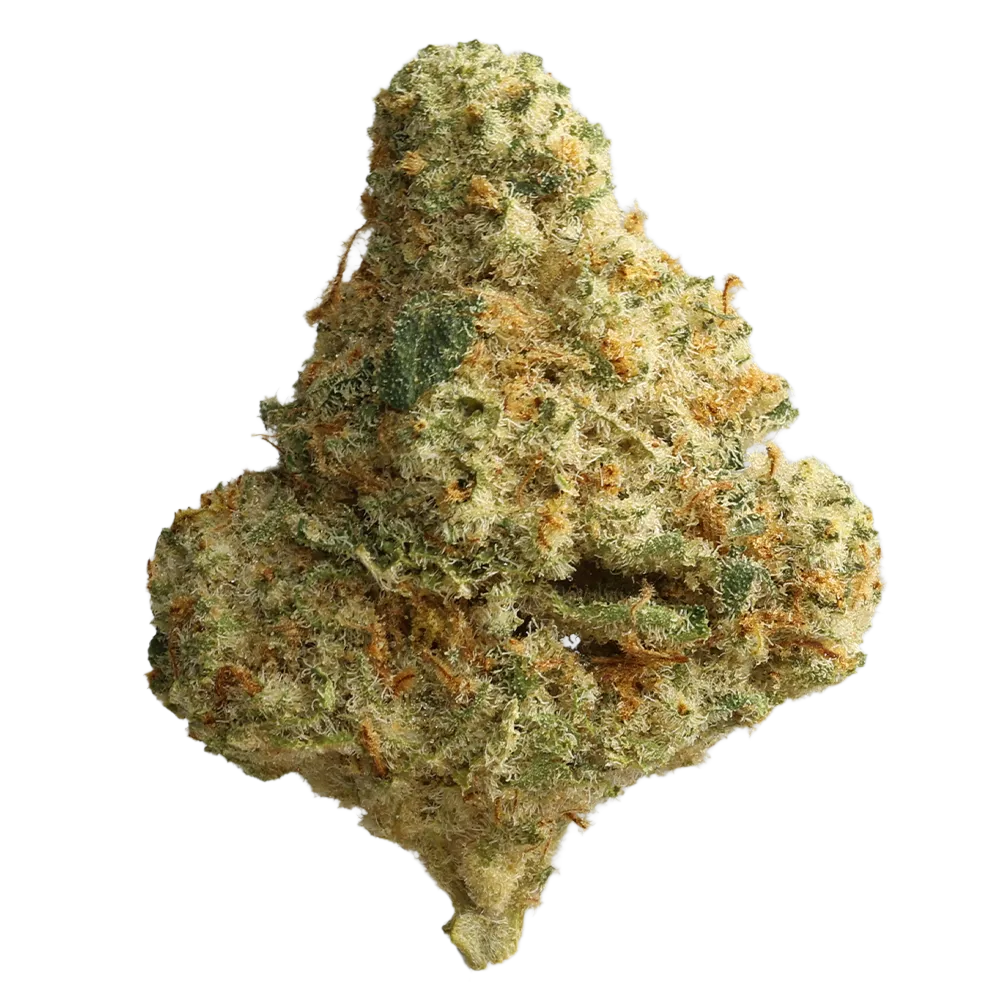 Cannabis flos 27/1 CSF Ku. Bunatic DP