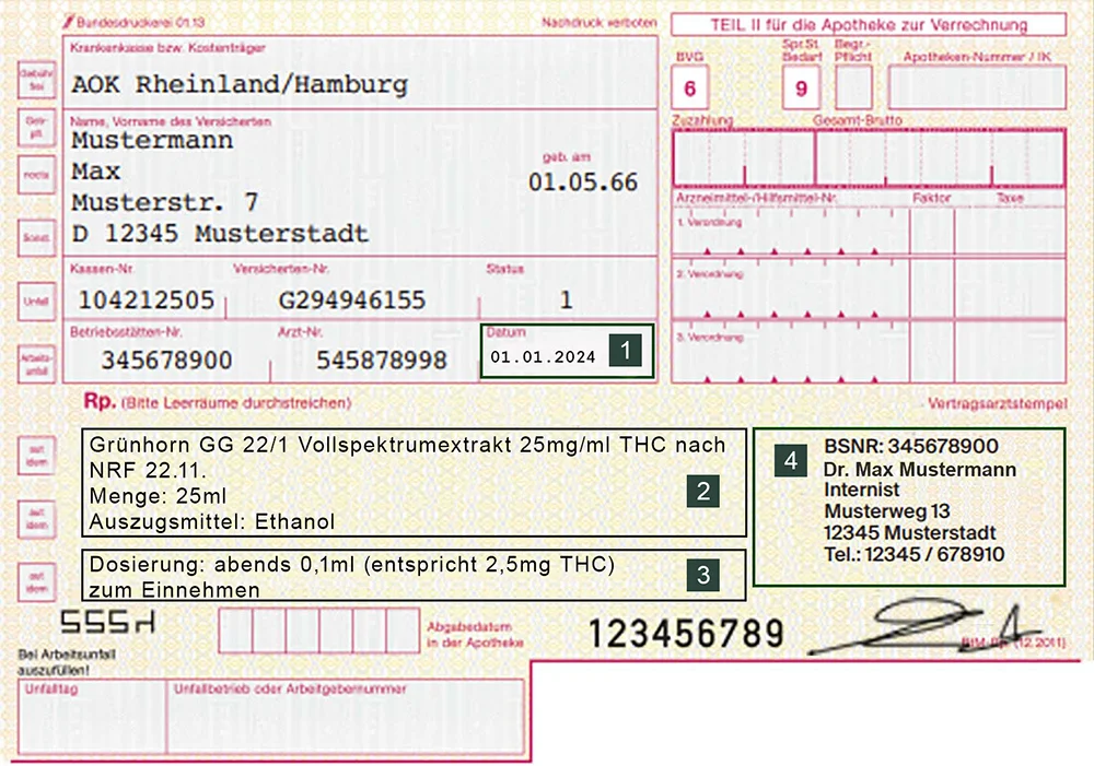 Erforderliche Angaben auf dem BTM Rezept Extrakt