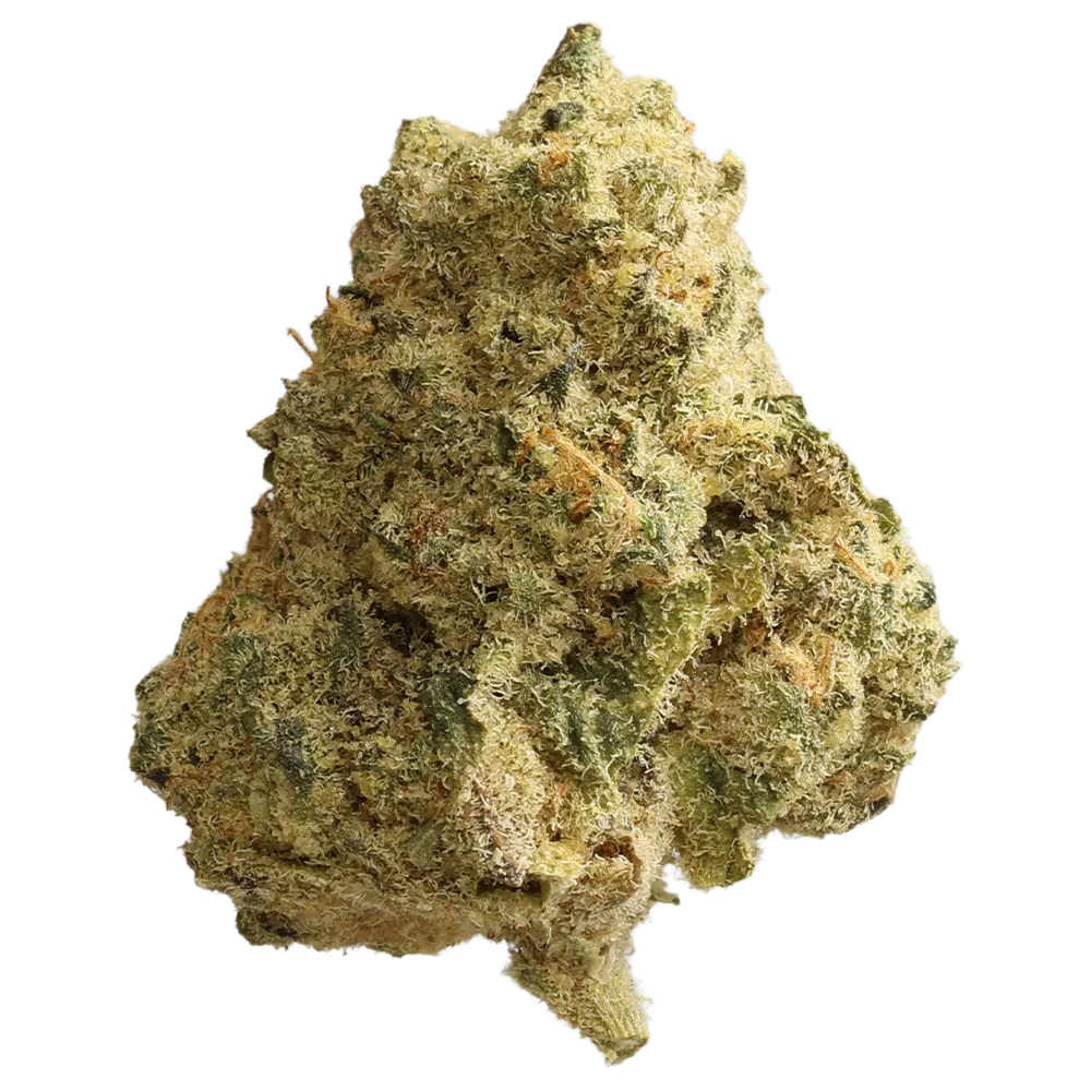 Eufloria 30/1 LBA LA Baker