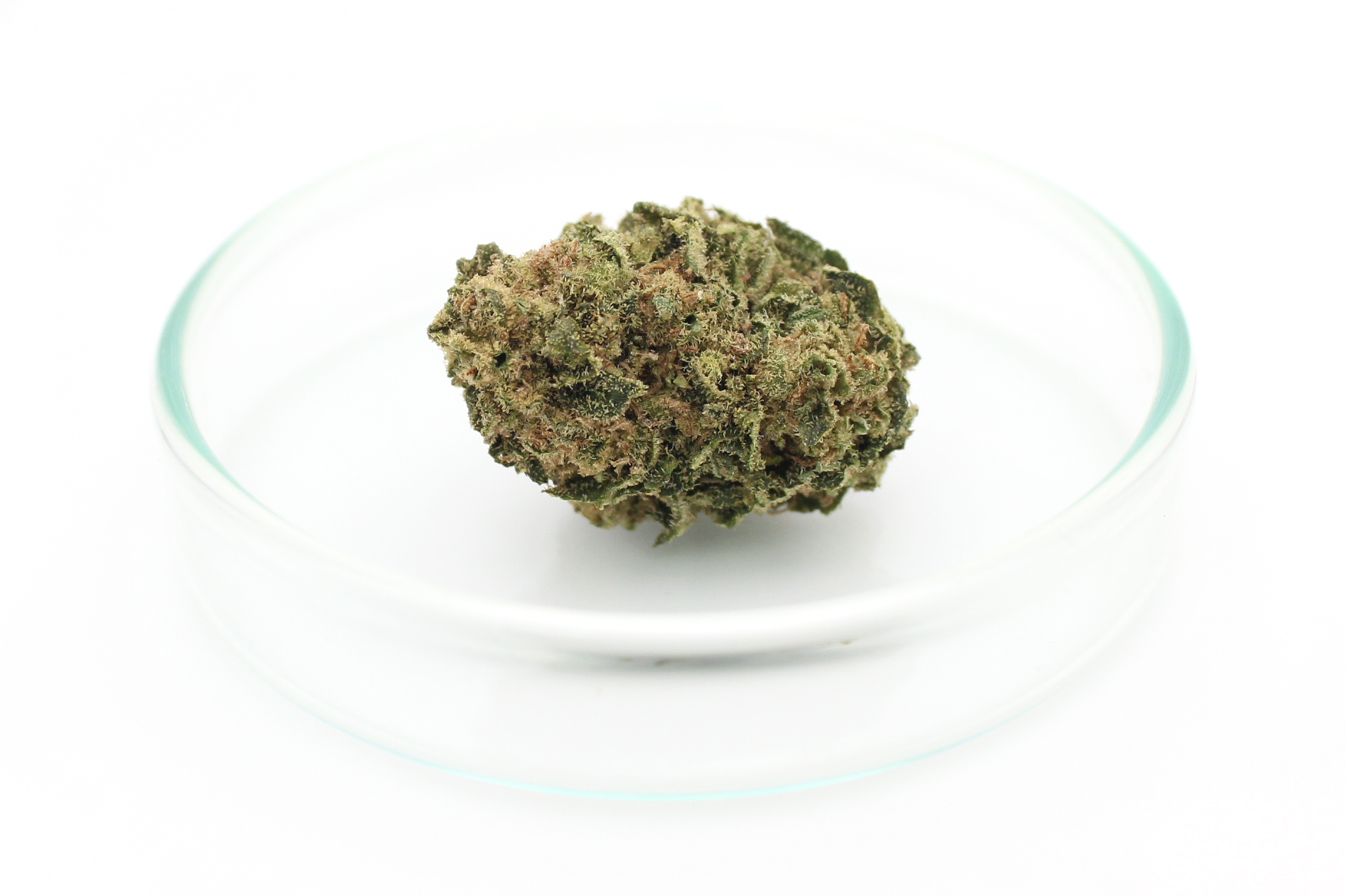 Cannabis flos 18/1 LS Ku. Durban Sky Canify