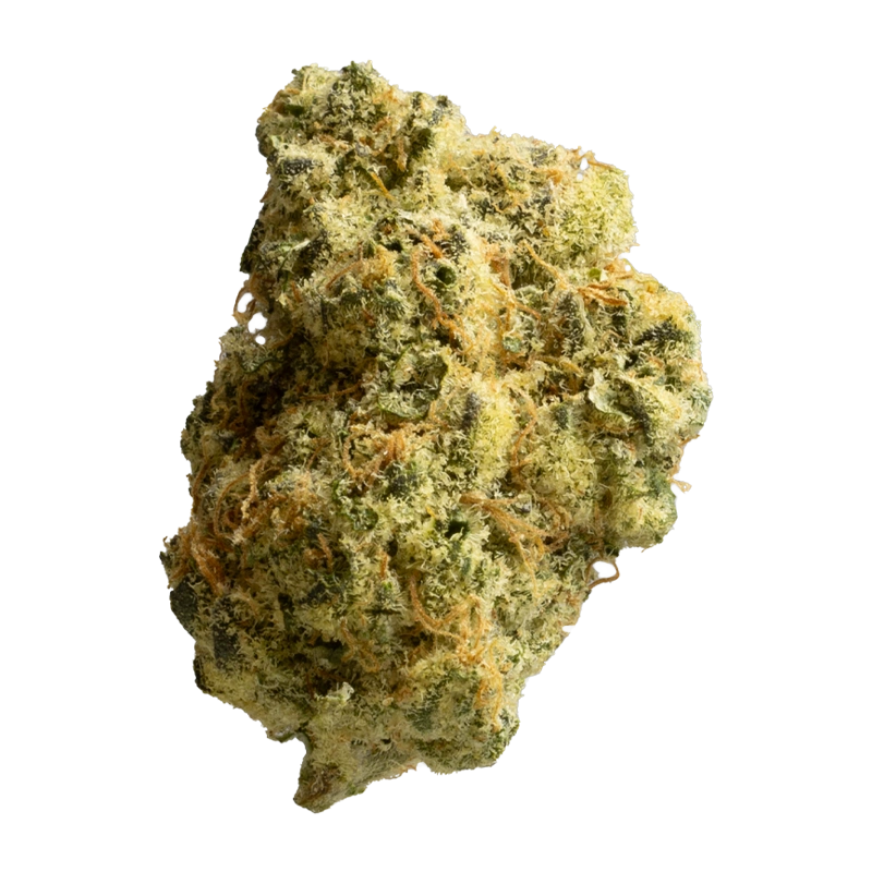 Avaay Signature 28/1 WB: Waffle Bites