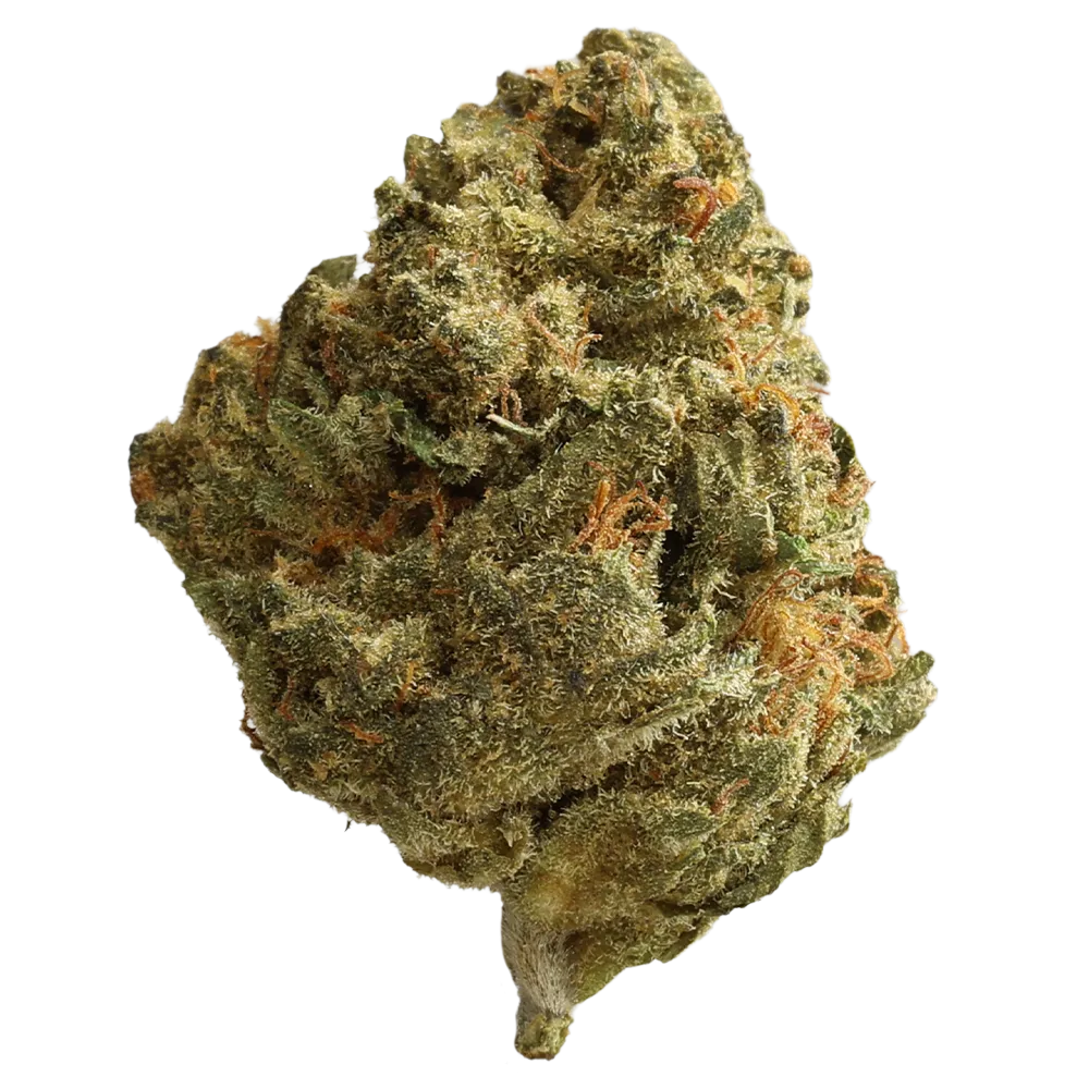 Khiron SP 28/1 Sugar Punch