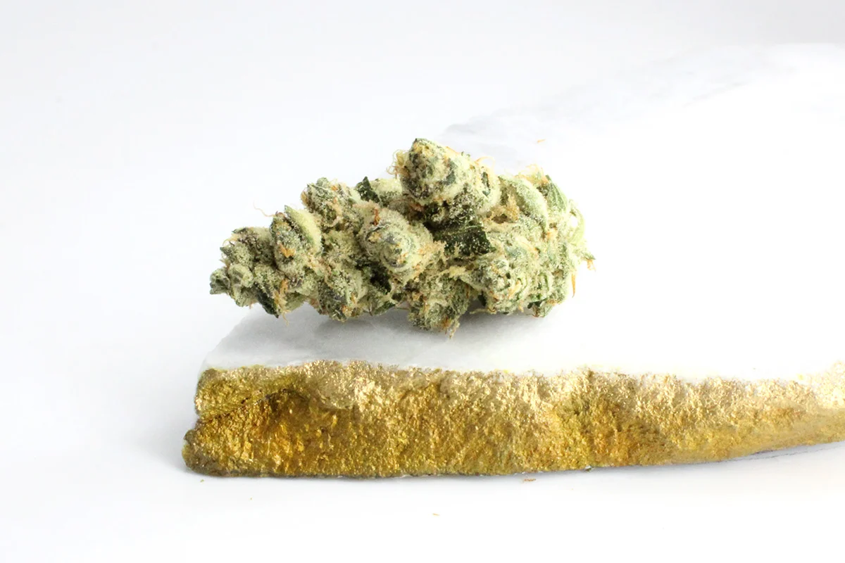 420 Evolution 30 1 CA GMO