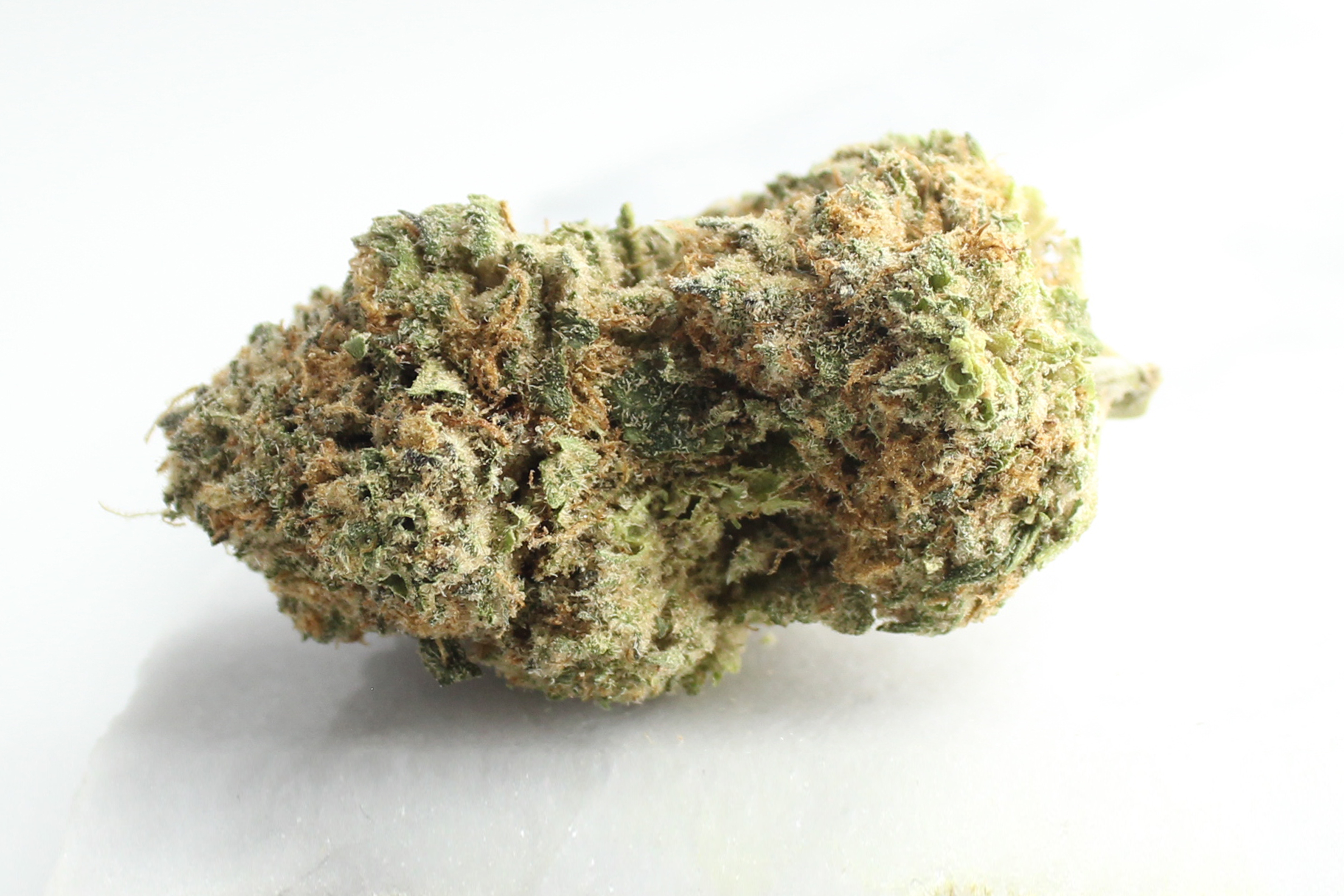 Pedanios 27/1 BLY-CA: Black Jelly