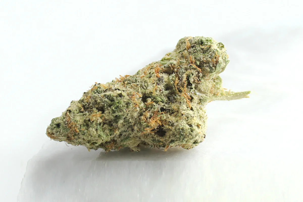 Four20Pharma 420 Evolution 30/1 CA ICC Ice Cream Cake Kush