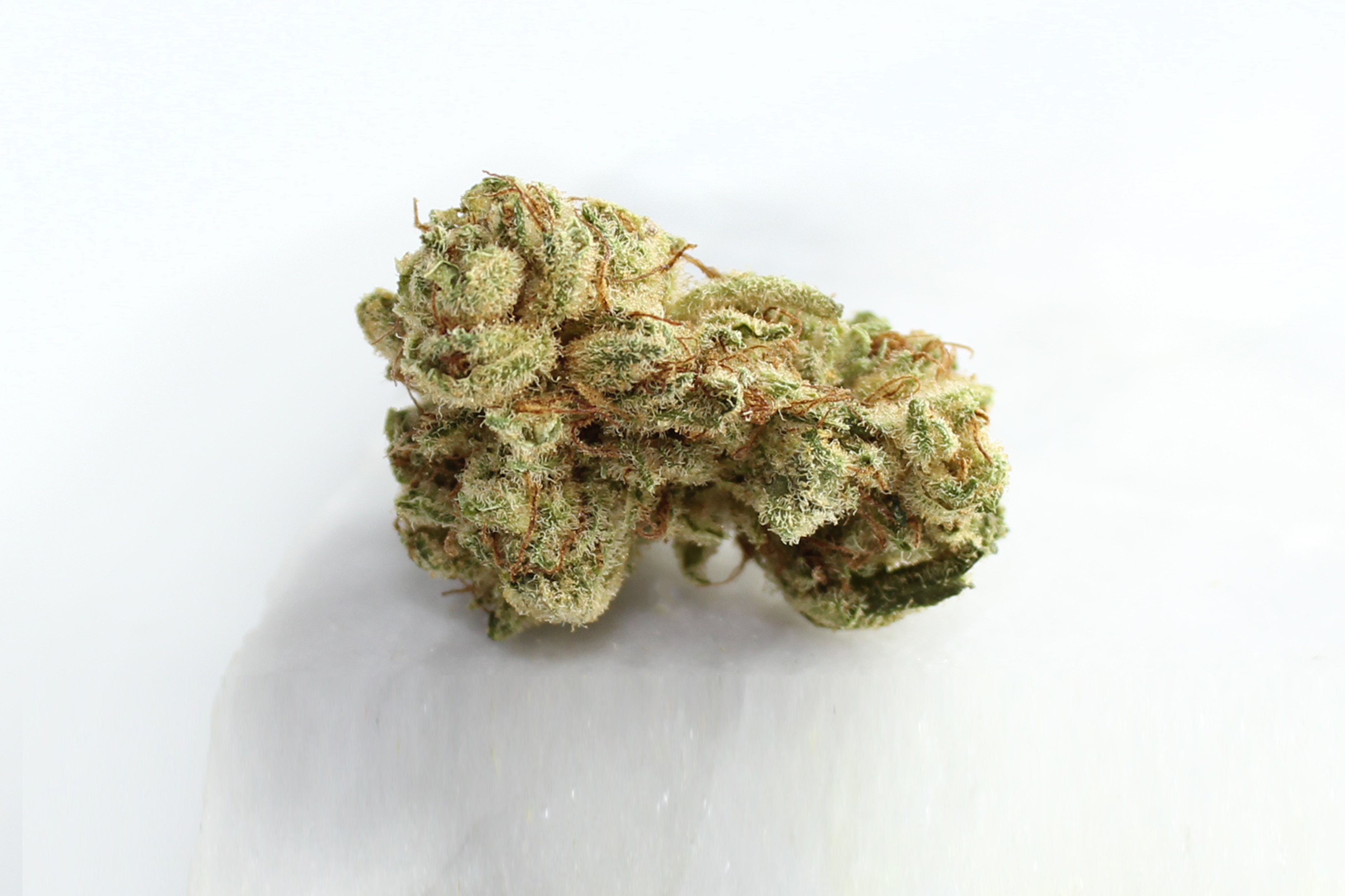 Tilray THC 18 Spotlight Porto: Lilac Diesel