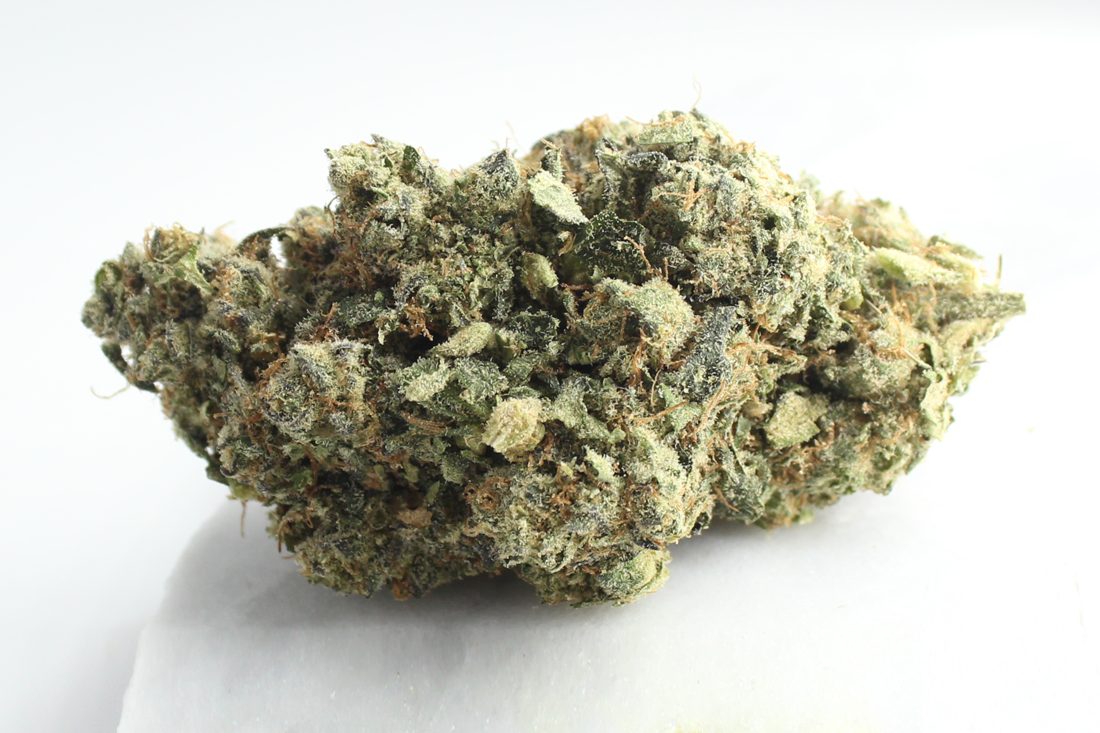 Bathera 28/1: Facetz