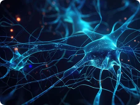 Endocannabinoid-System einfach erklärt: Wie Cannabis im Körper wirkt Endocannabinoid-System einfach erklärt- Wie Cannabis im Körper wirkt