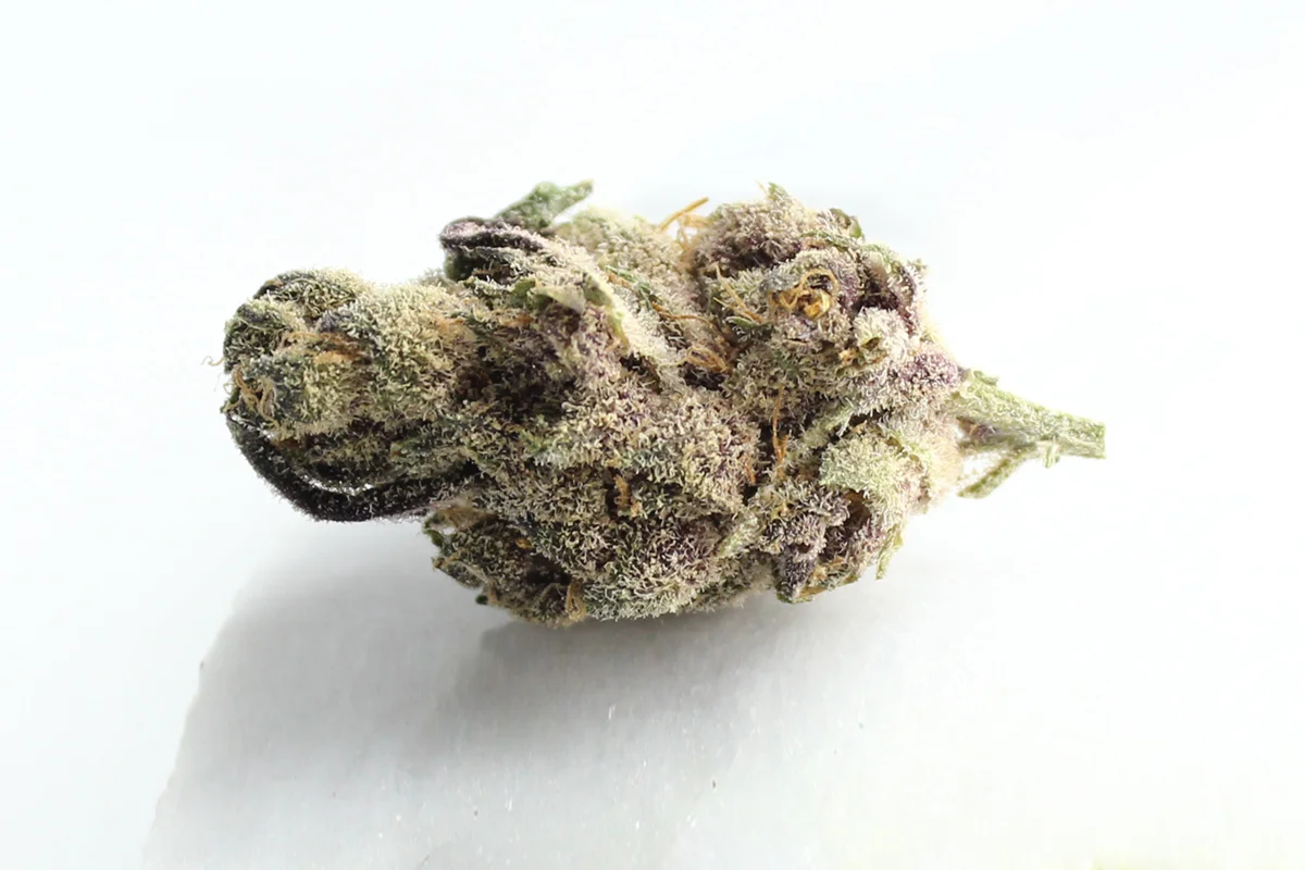 Four20Pharma 420 Natural 19/1 CA TRP Tropicana Cookies