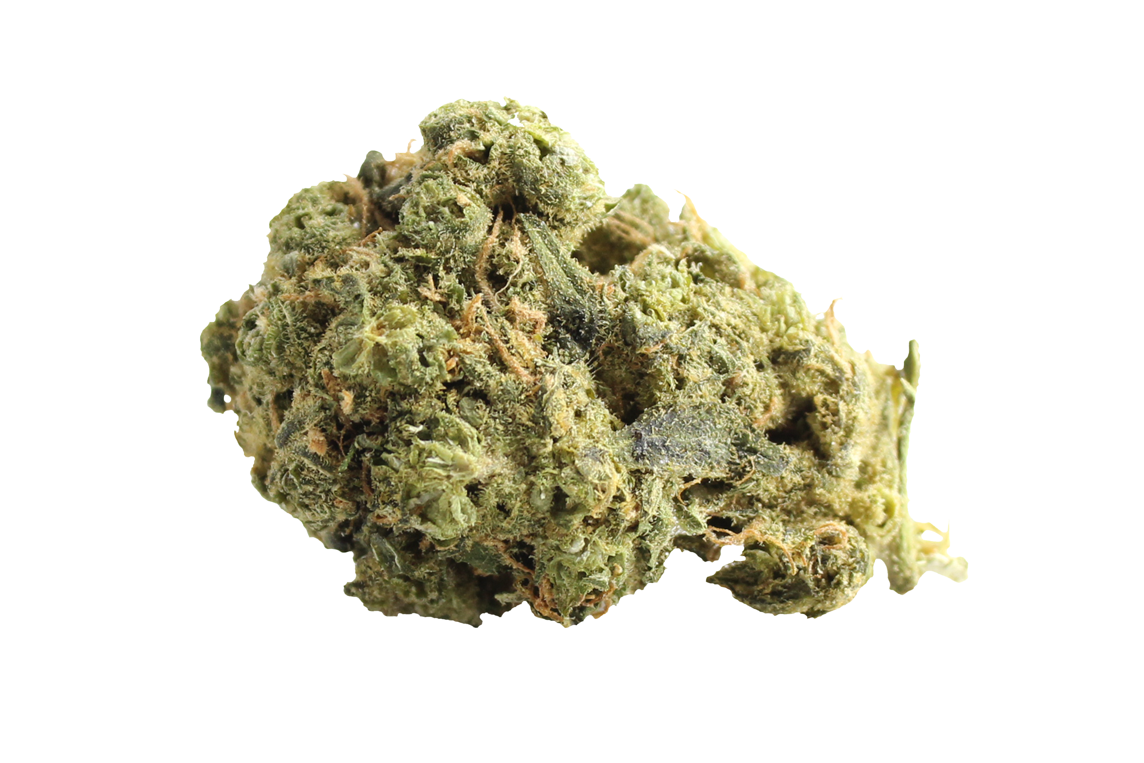 Avaay Zoiks 26/1 LK OG Lime Kush Cannabisbluete