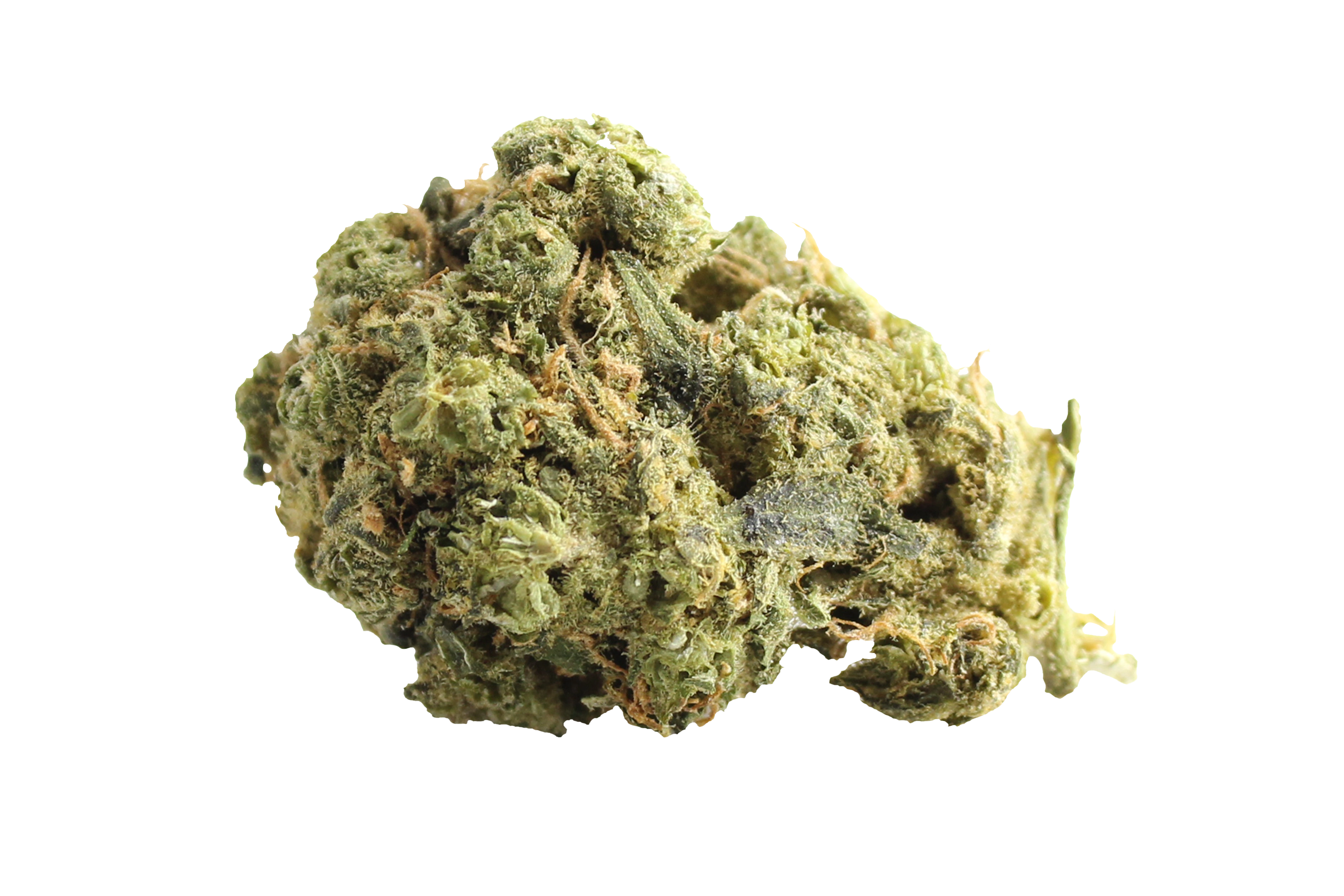 Avaay Zoiks 26/1 LK OG Lime Kush Cannabisbluete