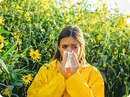 Cannabis und Allergien: Helfen Cannabinoide oder schaden sie