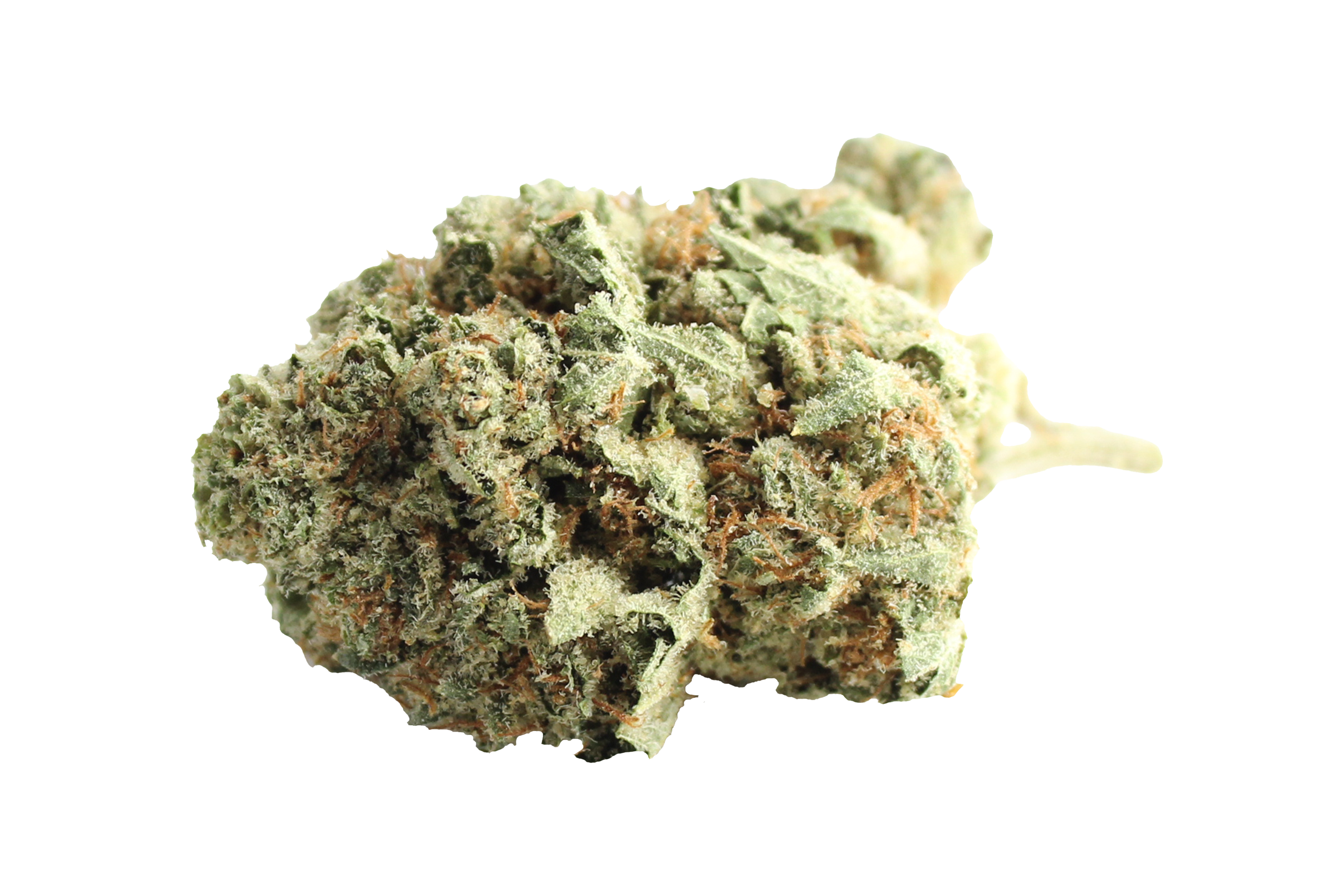 Four20Pharma Huala 20/1 CA ALM Alien Mints Cannabisbluete