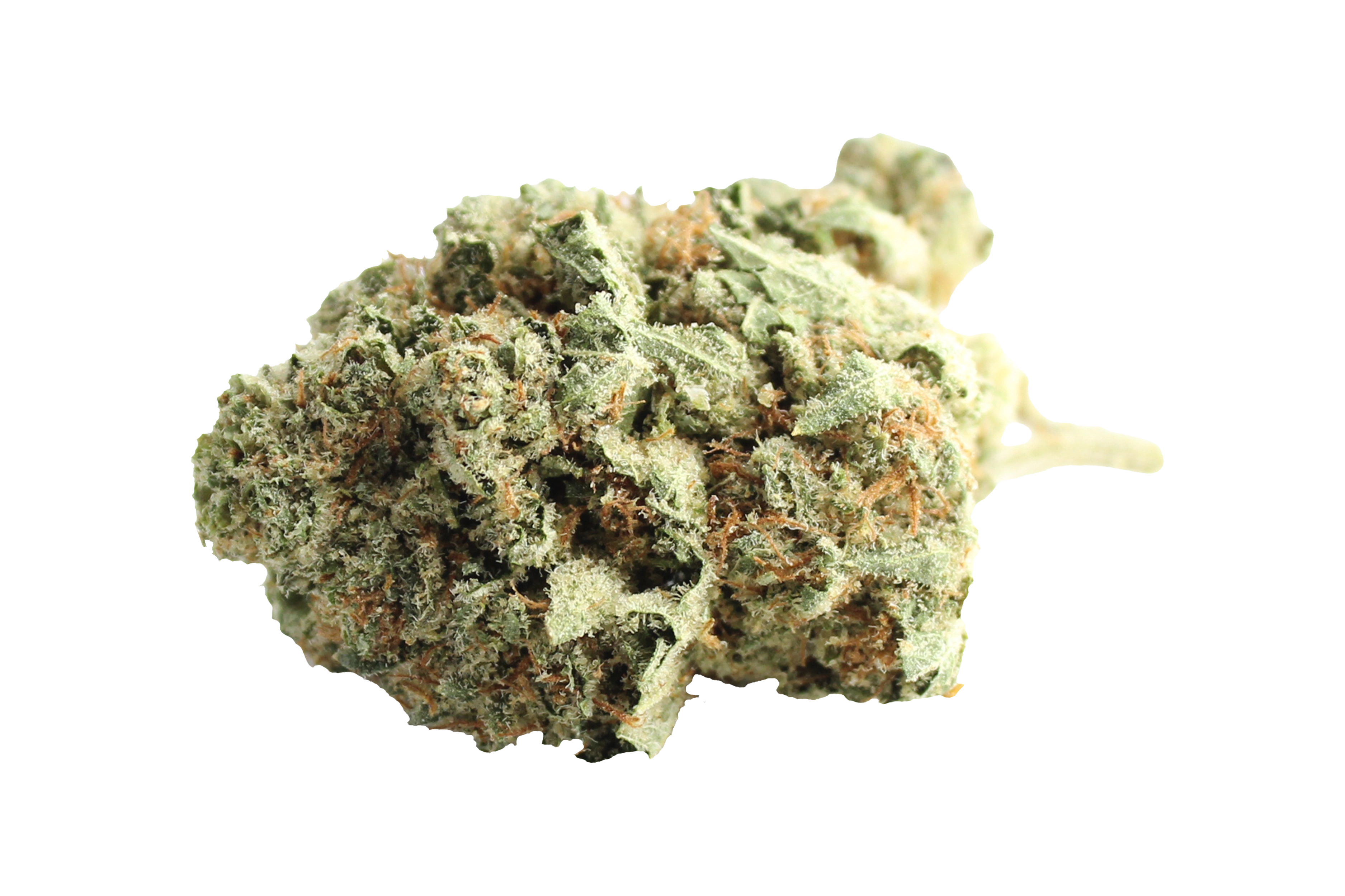 Four20Pharma Huala 20/1 CA ALM Alien Mints Cannabisbluete