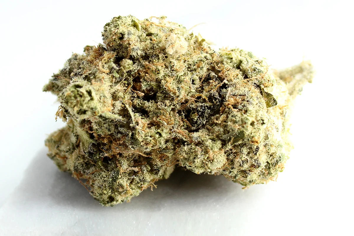 Montu Craft Botanics 27/1 Mimosa