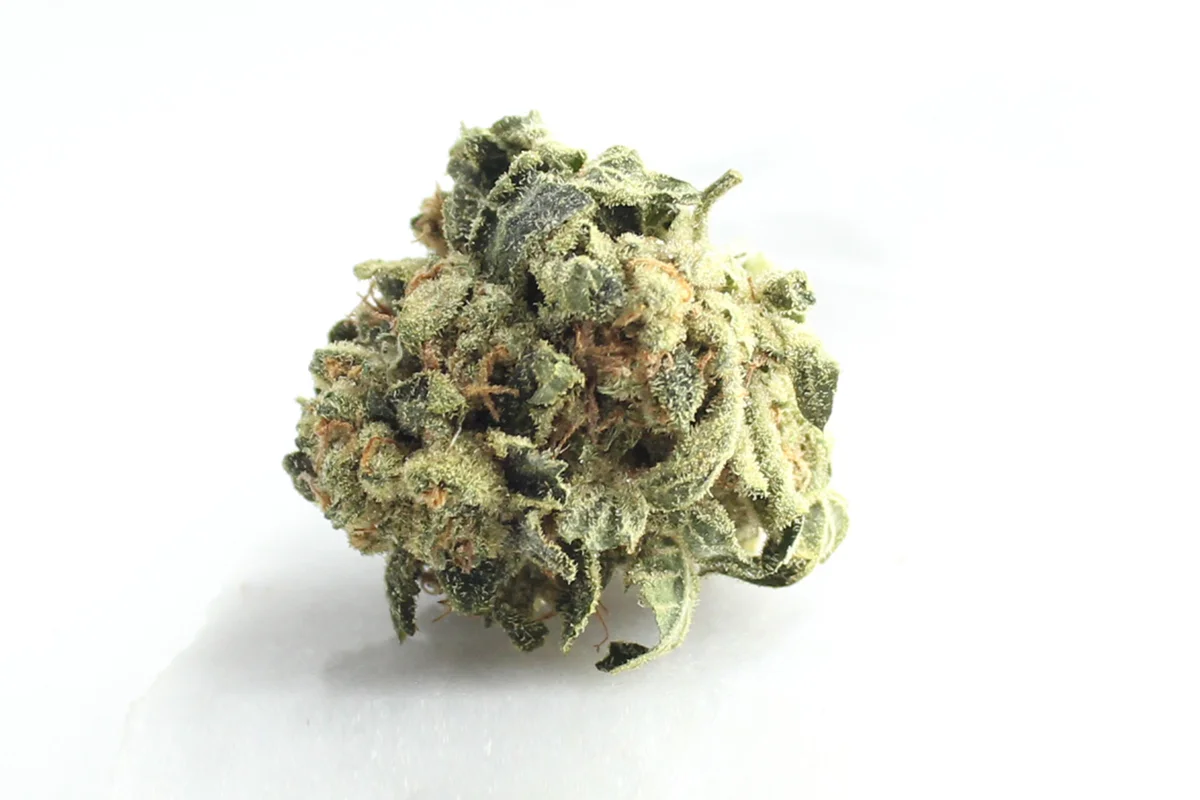 Aurora Cannabis Flos Weeco 25/1 Frosted Lemon Angel