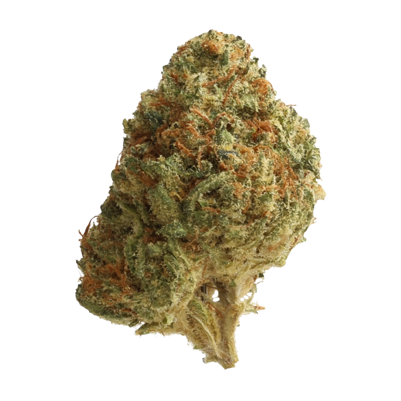 Zoiks 22/1 SR: Space Rider