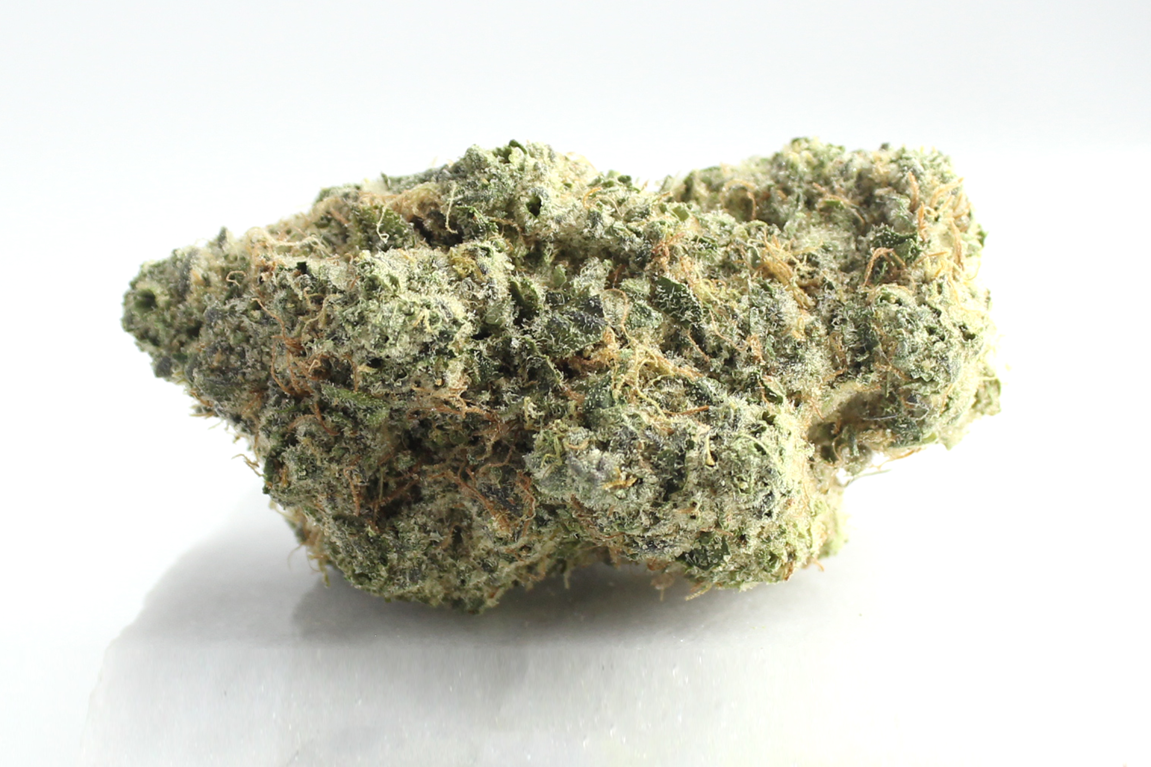 Avaay Signature 34/1 OGC: Ocean Grown Cookies