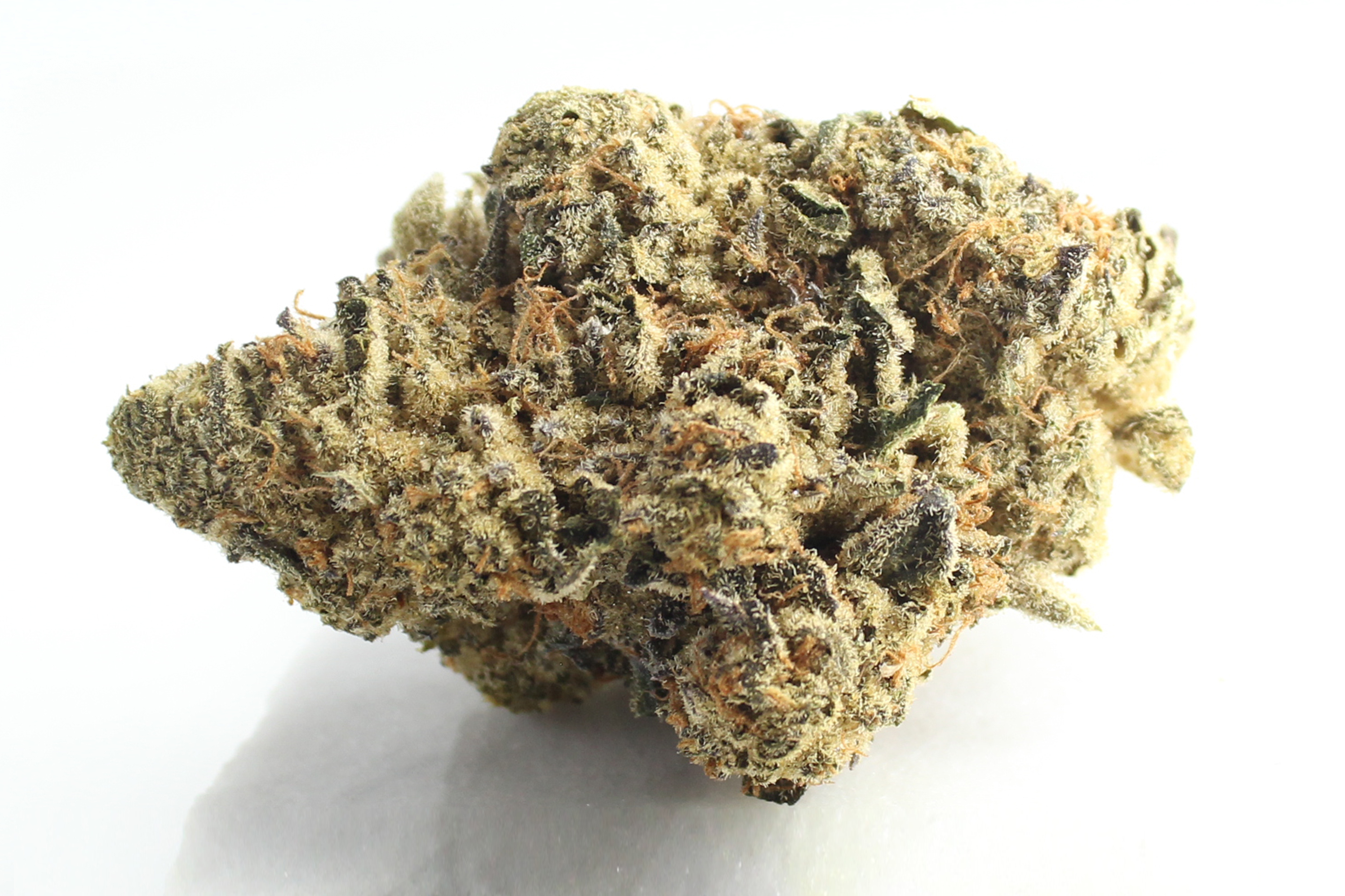 Cannamedical Indica Forte: El Jefe