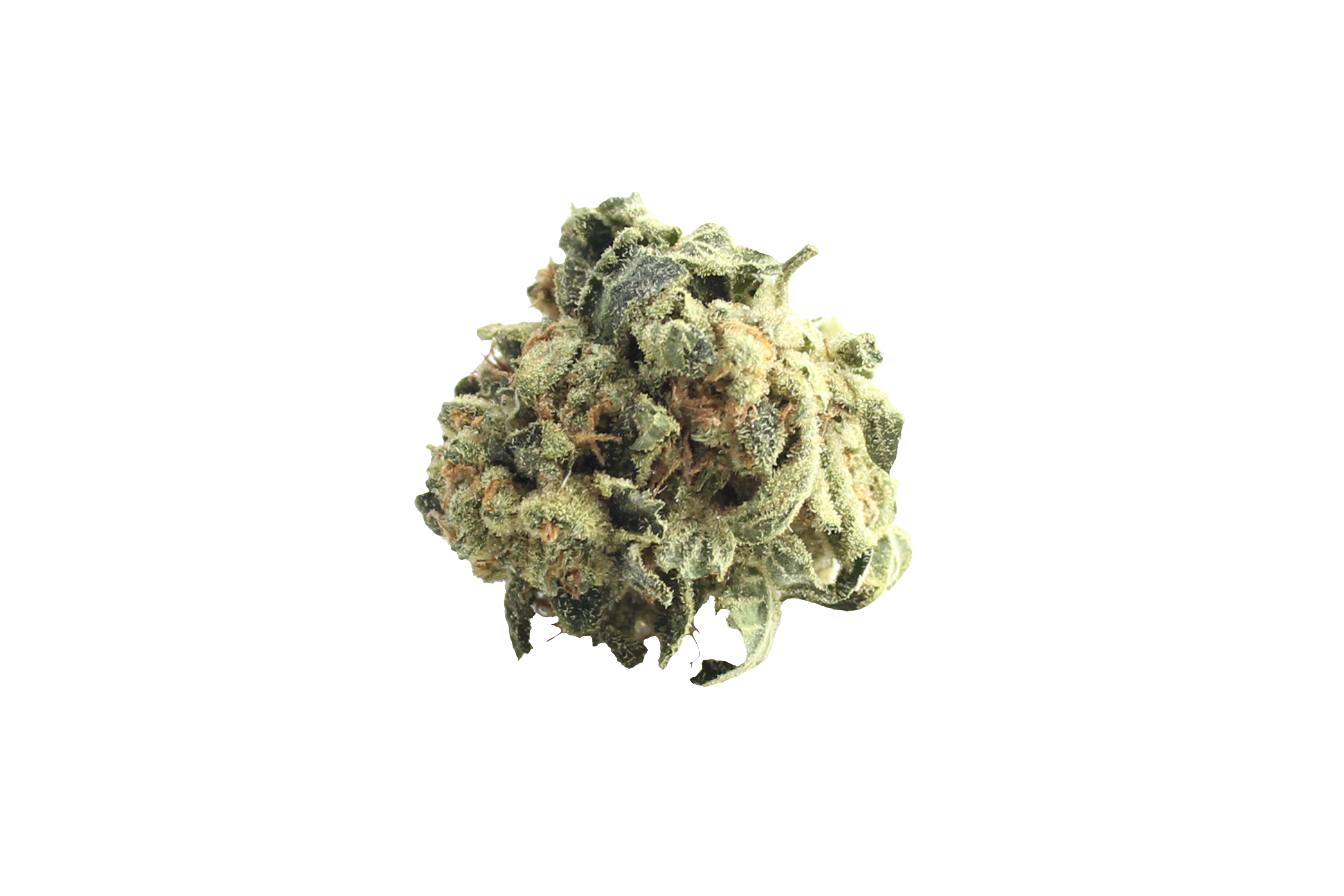 Aurora Cannabis Flos Weeco 25/1 Frosted Lemon Angel Cannabisbluete