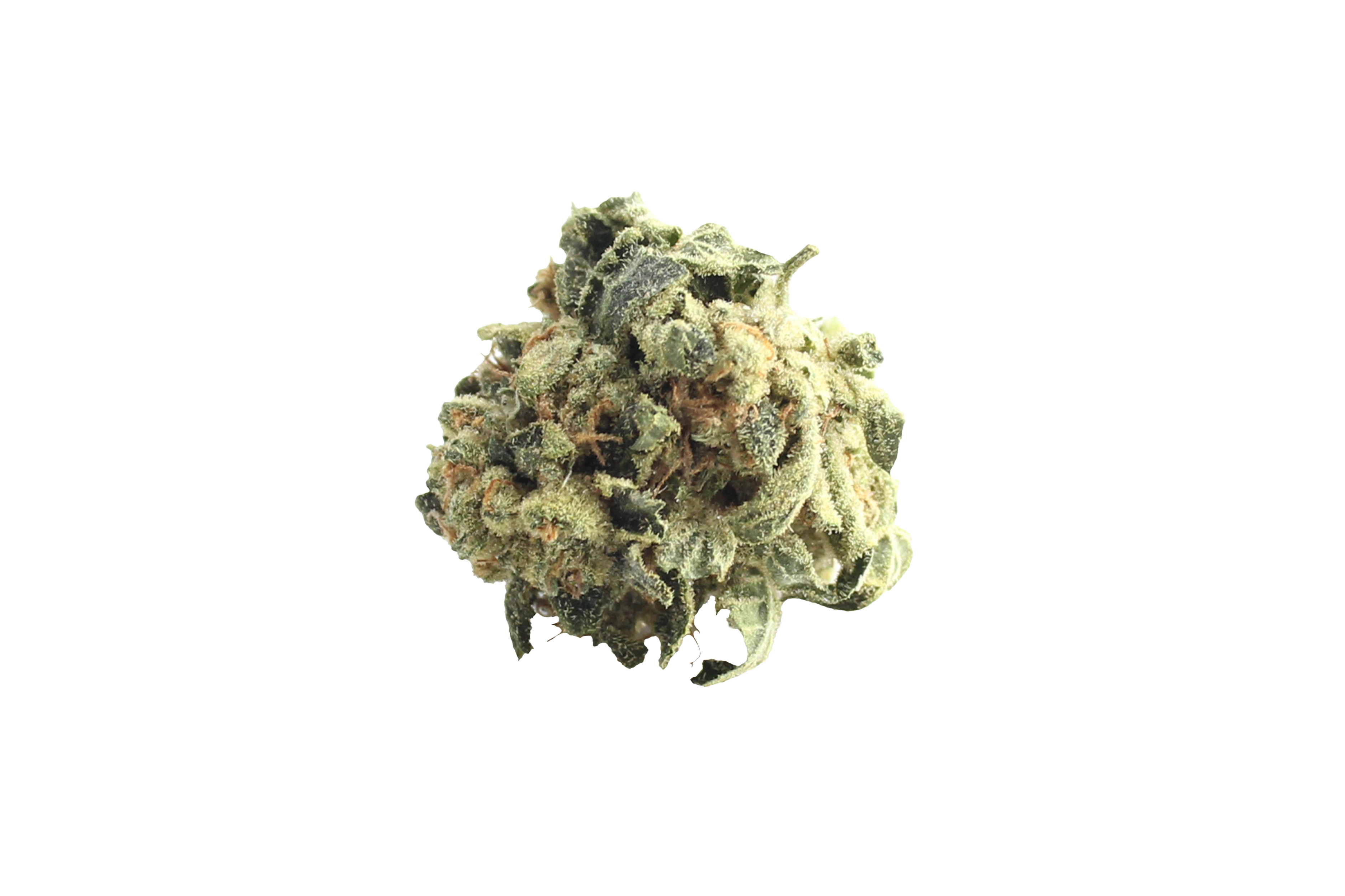 Aurora Cannabis Flos Weeco 25/1 Frosted Lemon Angel Cannabisbluete