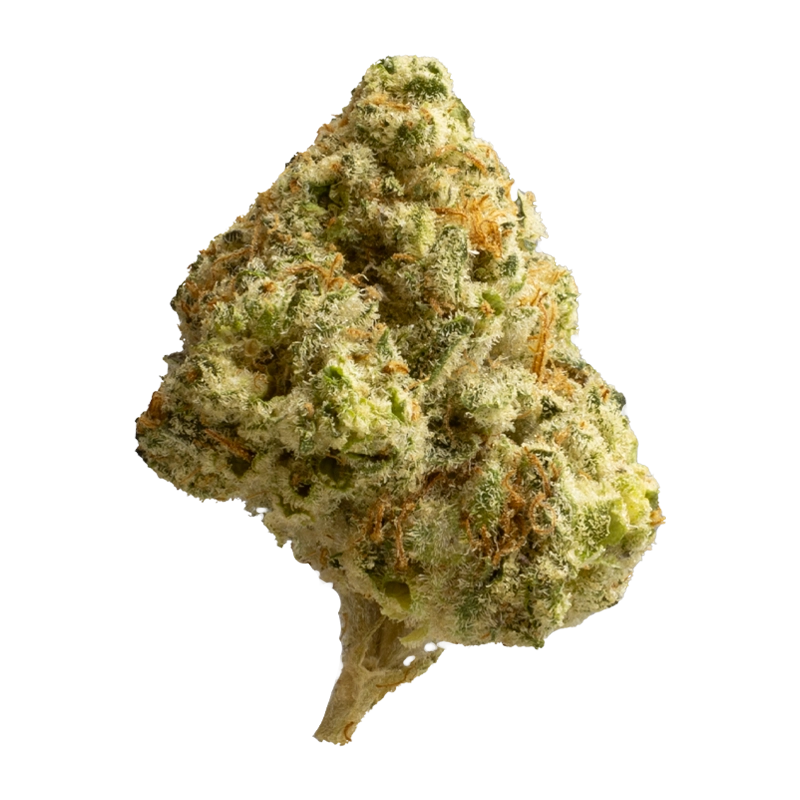 Avaay Khalifa 28/1 KM: Khalifa Mints