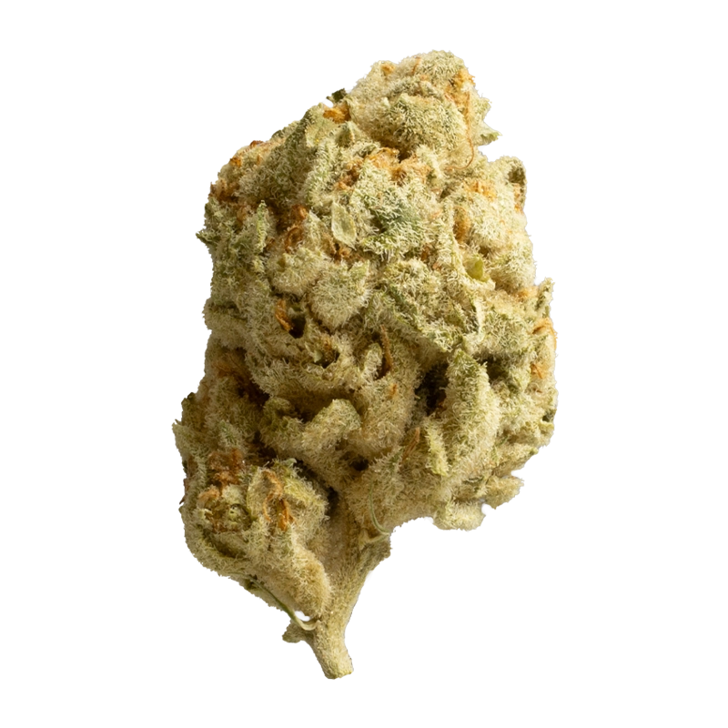 Cannamedical Indica Classic ZAF: Black Cherry Punch