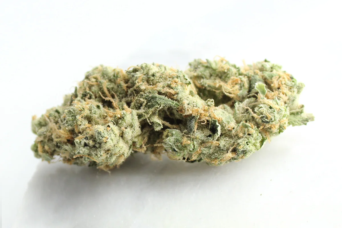 Four20Pharma 420 Evolution 27/1 CA GMO