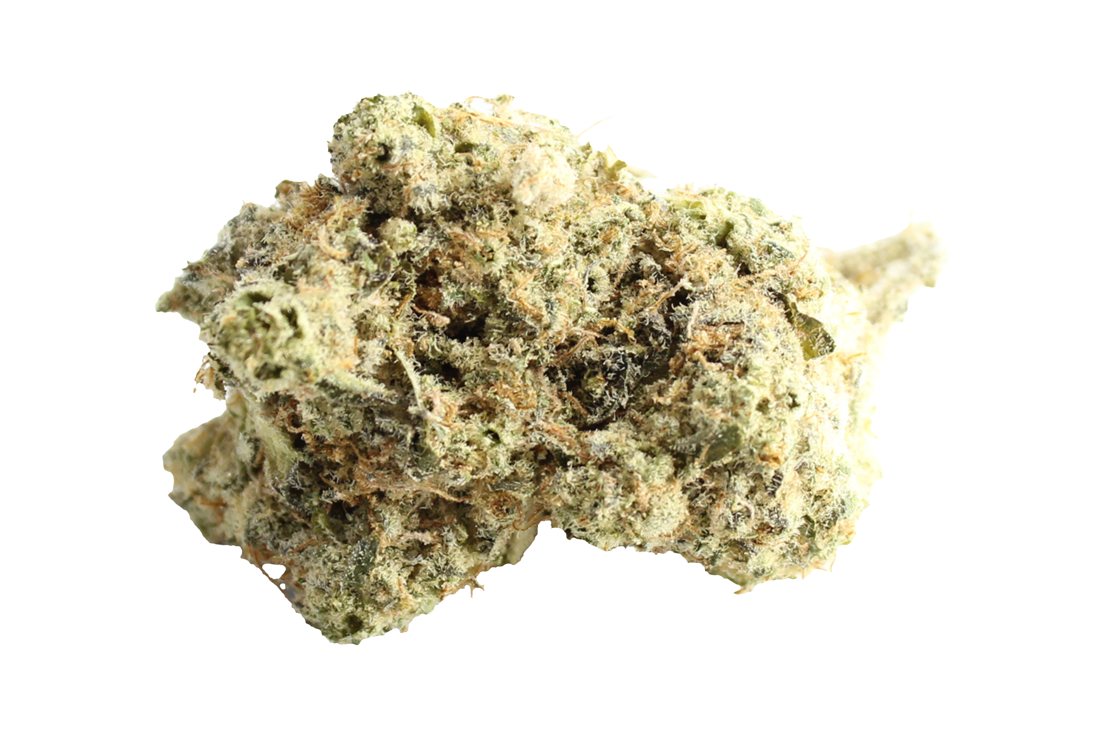 Montu Craft Botanics 27/1 Mimosa Cannabisbluete