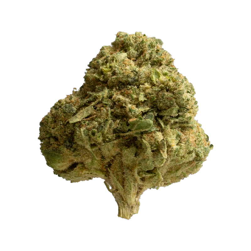 Medical Saints 24/1 SRD: Sugar Dream