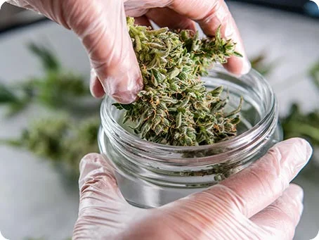 Cannabis richtig lagern und die Haltbarkeit verlängern Cannabis richtig lagern und die Haltbarkeit verlängern