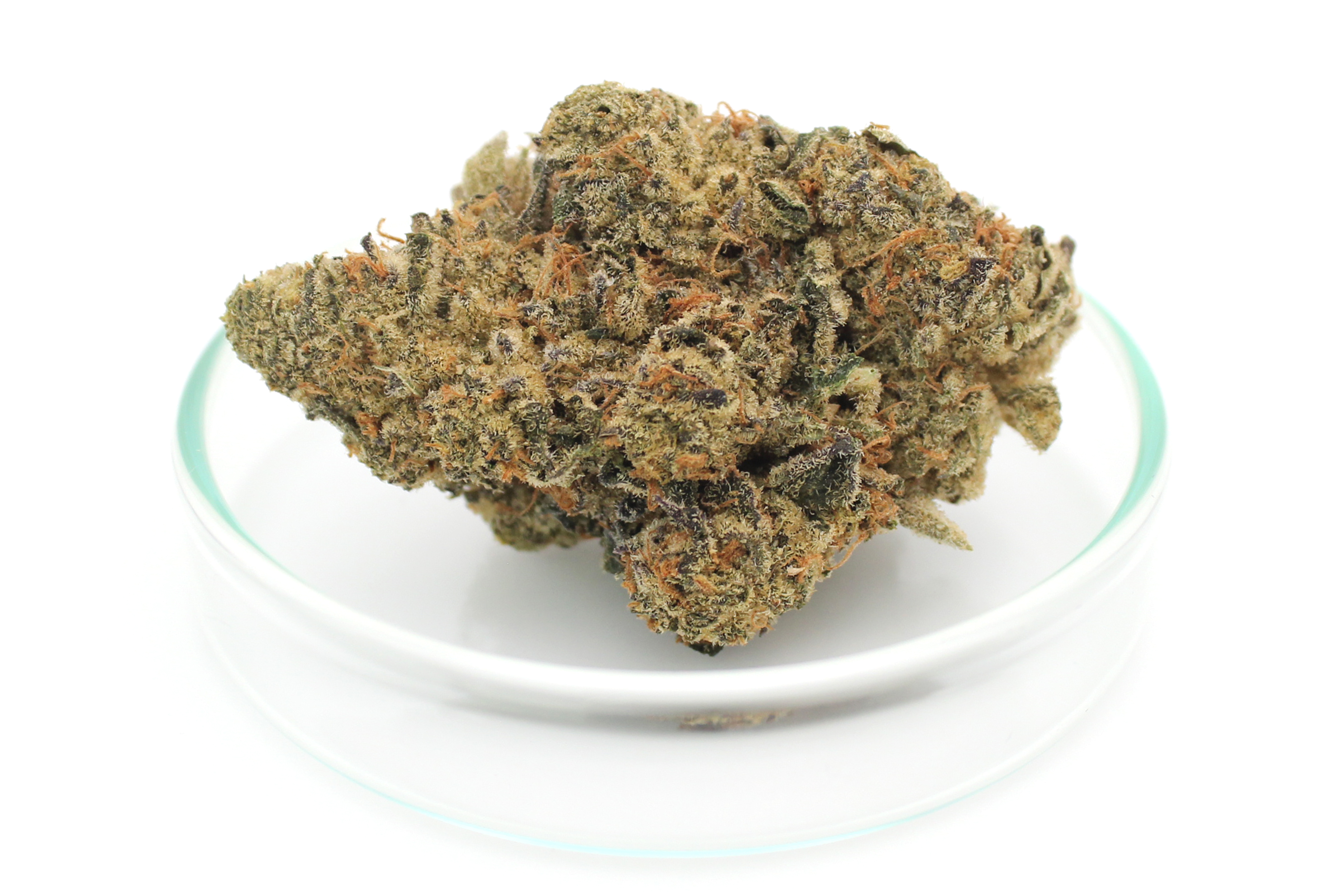 Cannamedical Indica Forte: El Jefe