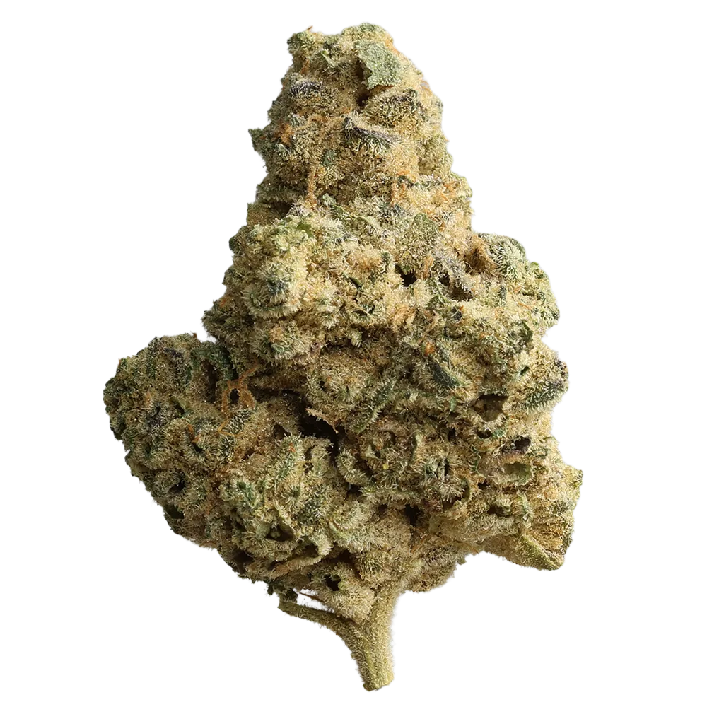 Cannamedical Indica Forte BC: Bubblegum Kush Mintz