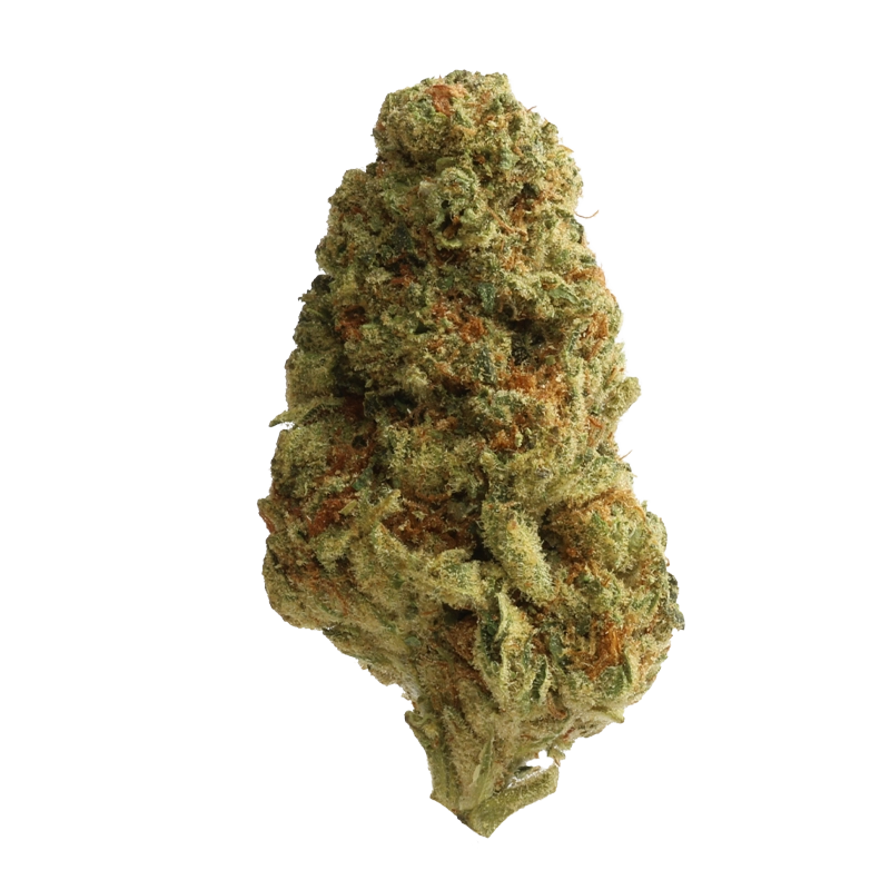 Luana 20/1 Rainbow: Papaya Bomb