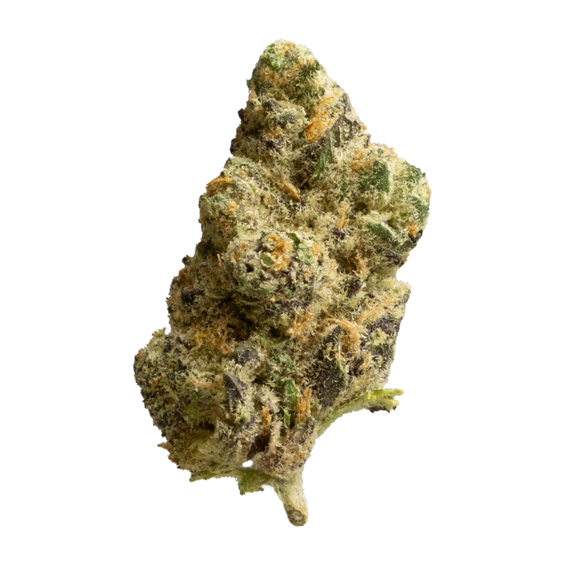 enua 25/1 SLC CA: Slurricane