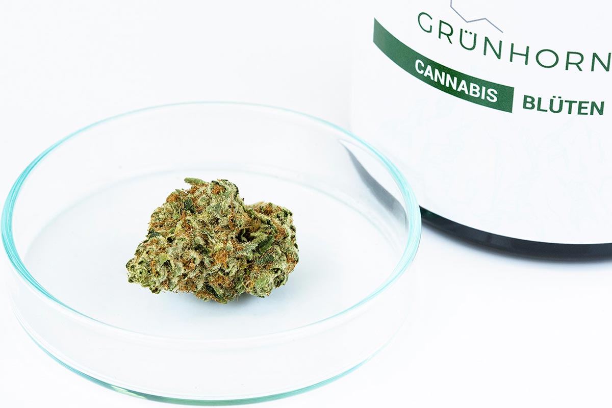 Cannamedical Sativa classic AU Tangie Chem