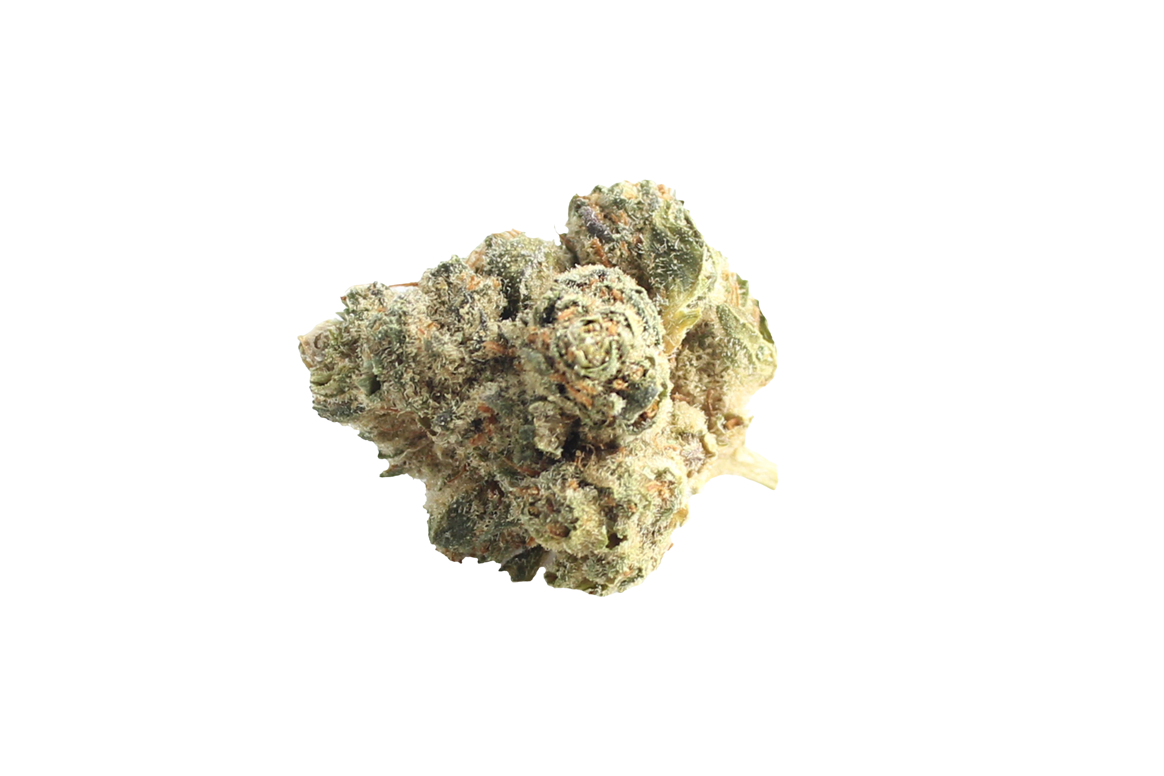 Enua 22/1 JFG CA Jet Fuel Gelato Cannabisbluete