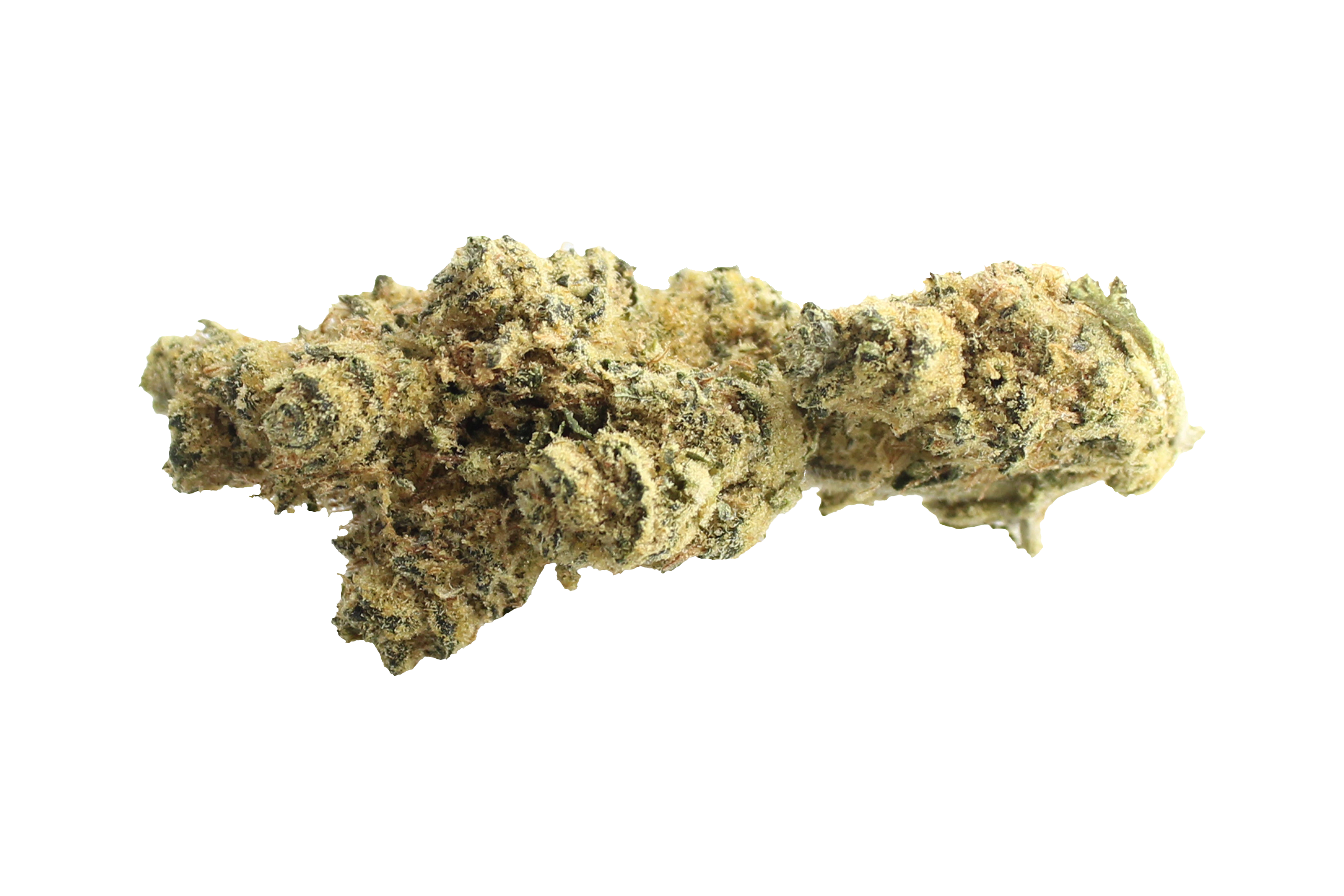 Cansativa Peace Naturals 31/1 GC GMO Cookies Cannabisbluete