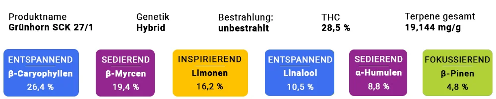 Grünhorn SCK 27/1 Terpen Cluster